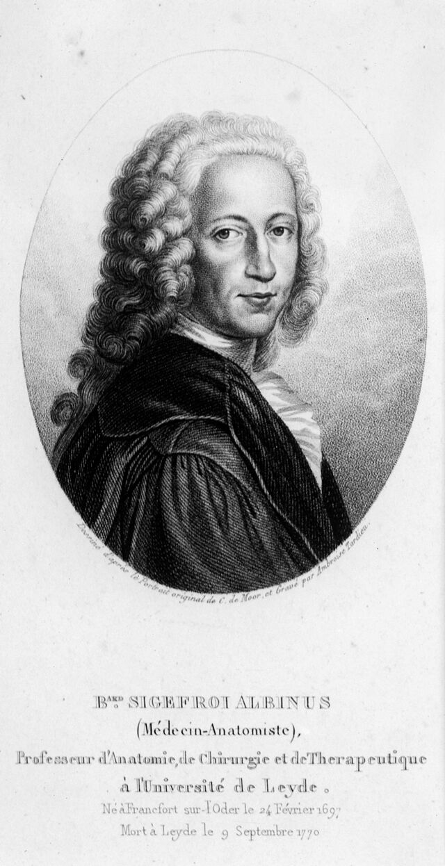 digitised image 1