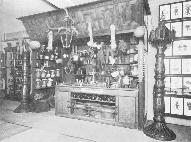 No text description is available for this image