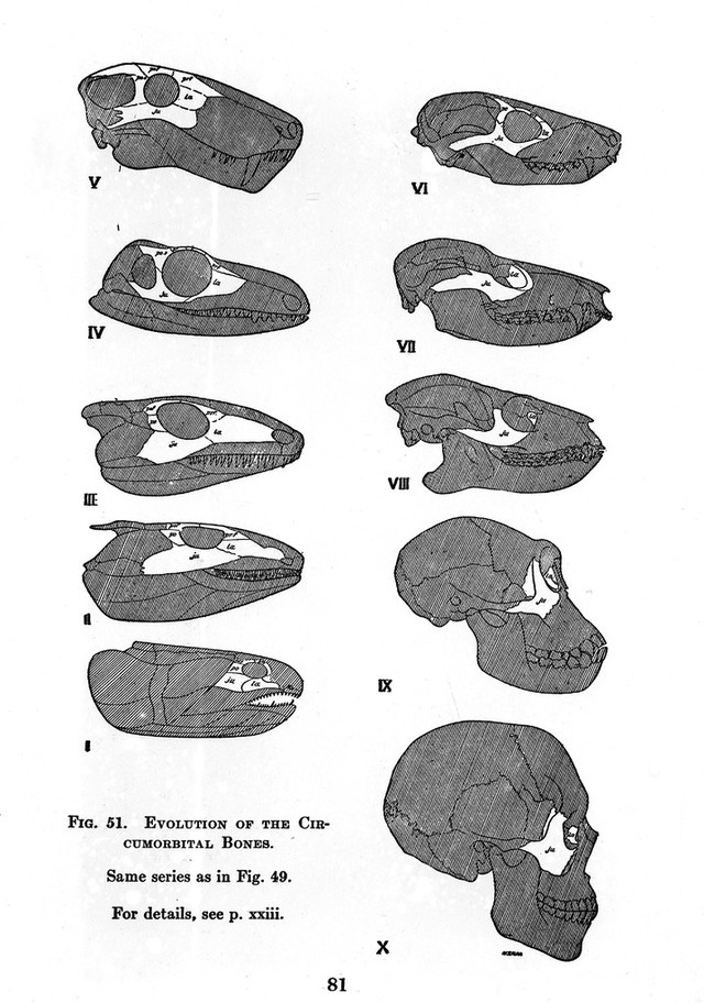 digitised image 1