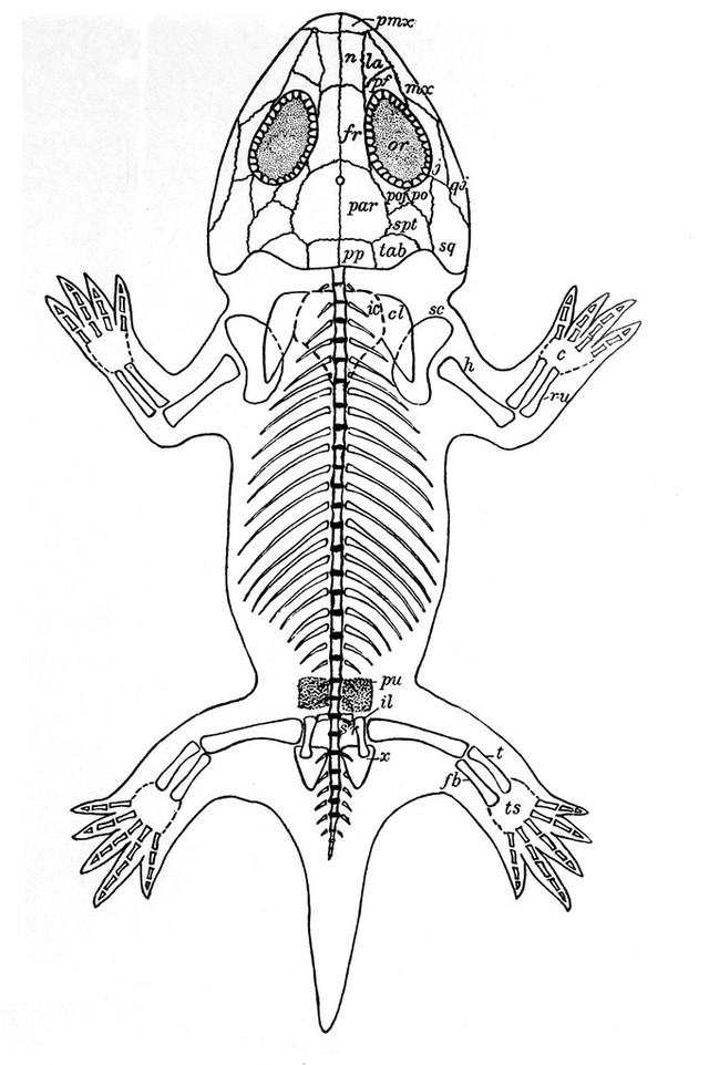 digitised image 1