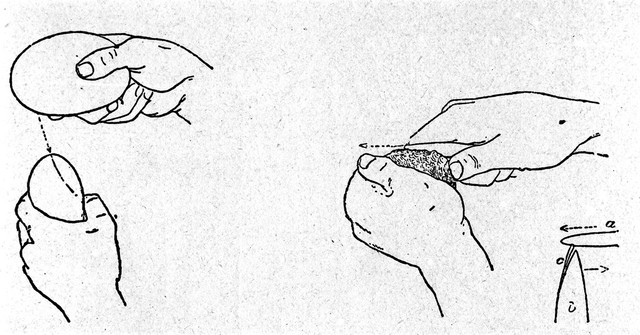 digitised image 1