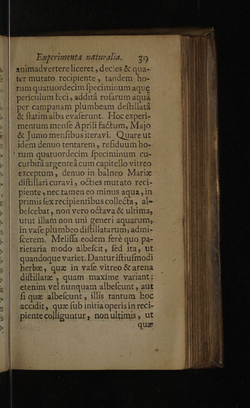 animadvertere liceret decies &amp; qua- ter mutato recipiente , tandem ho- rum quatuordecim Ípeciminum aque periculum feci, addità rofarum aqua per campanam plumbeam deftillatà &amp; ftatimalba evalerunt. Hoc experi- mentum menfe Aprili fa&amp;tum, Majo &amp; Junio menfibusiteravi. Quareut idem denuo tentarem , refiduum ho- curbità argenteá cum capitello vitreo exceptum , denuo in balneo Marice diftillari curavi, octies mutato reci- piente , nec tamen eo minus aqua jin primis fex recipientibus collecta, al- beícebat , non vero octava &amp; ultima, utut illam non uni generi aquarum; in vafe plumbeo diftillatarum, admi- Ícerem. Meliffa eodem feré quo pa- rietaria modo albefcit, fed ita, ut quandoque variet. Danturiftiufmodi herbz, qux in vafe vitreo &amp; arena diítillate , quam maxime variant; etenim vel nunquam albeícunt , aut fi qux albeícunt, illis tantum hoc accidit, quoe fub initia operis in reci- piente colliguntur, nonultmis, ut qua