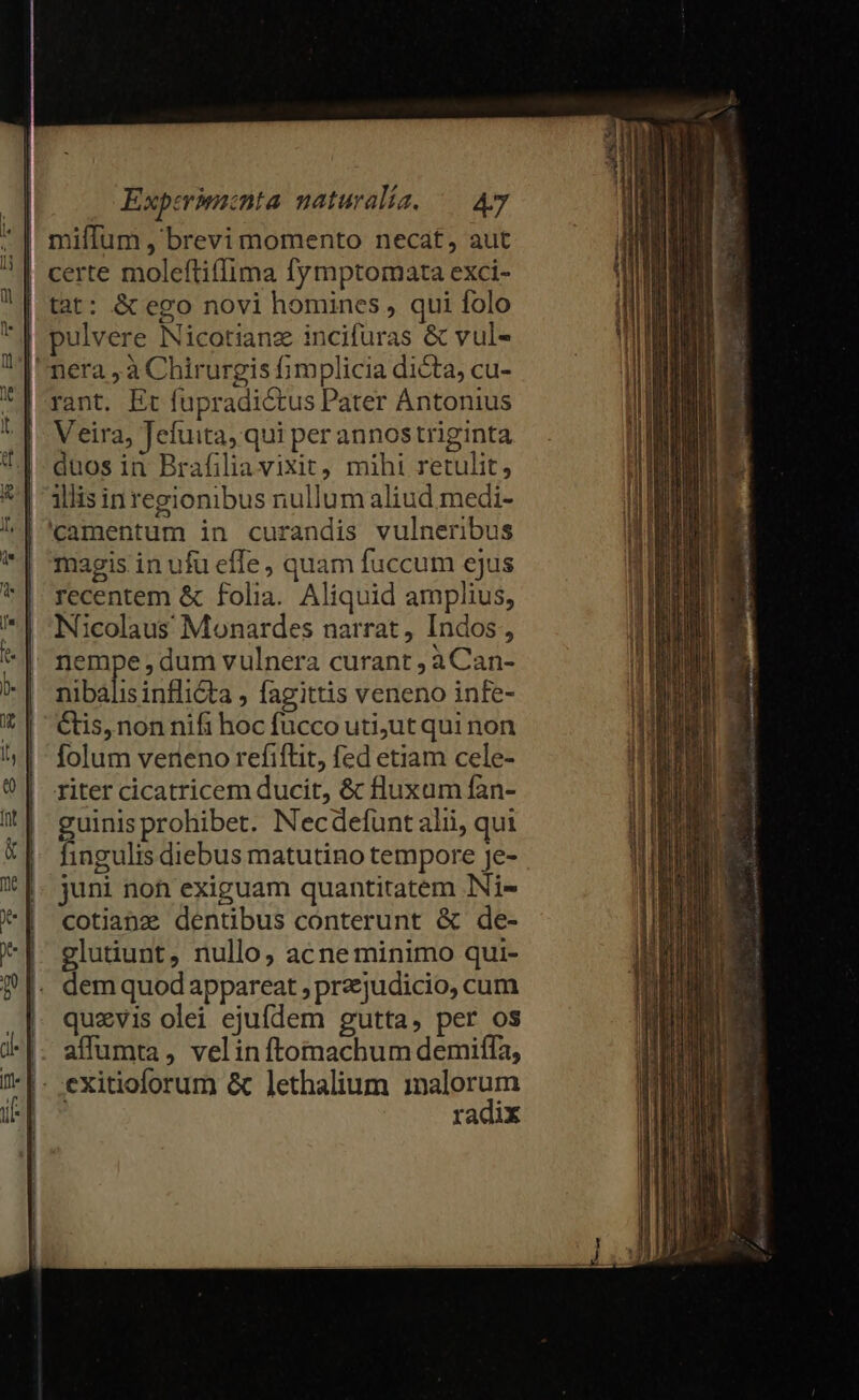 miffum , brevi momento necat, aut tat: &amp; ego novi homines , qui folo pulvere Nicotianz incifuras &amp; vul- rant. Et fupradictus Pater Antonius Veira, Jefuita, qui per annos triginta duos in Brafiliavixit, mihi retulit, illis inregionibus nullum aliud medi- camentum in curandis vulneribus magis in ufu effe, quam fuccum ejus recentem &amp; folia. Aliquid amplius, Nicolaus Monardes narrat, Indos, nempe dum vulnera curant , aCan- nibalis inflicta , fagittis veneno infe- étis, non nifi hoc fucco utiut qui non folum verieno refiftit, fed etiam cele- riter cicatricem ducit, &amp; fluxam fan- guinis prohibet. Necdefünt alii, qui fingulis diebus matutino tempore je- juni non exiguam quantitatem INi- cotianz dentibus conterunt &amp; de- glutiunt, nullo, acne minimo qui- dem quod appareat ; przjudicio, cum quzvis olei ejufdem gutta, per os affumta, velinftomachum demiffa, radix