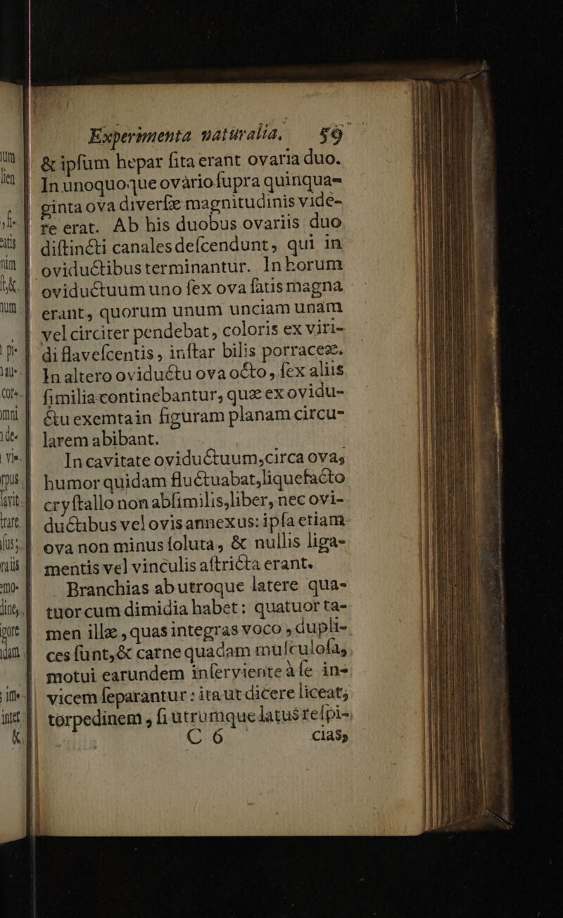 In unoquoque ovàriofupra quinqua oviductibusterminantur. In horum oviductuum uno fex ova fatis magna erant, quorum unum unciam unam di lavefcentis , inftar bilis porracese. fimiliacontinebantur, qua ex ovidu- &amp;u exemtain figuram planam circu- Incavitate oviductuum,circa ovas humor quidam flu&amp;uabat,liquefacto cryftallo non ablimilis,liber, nec ovi- ductibus velovisannexus: ipfa etiam ova non minus foluta, &amp; nullis liga- mentis vel vinculis aftricta erant. Branchias ab utroque latere qua- tuorcum dimidia habet: quatuor ta- men illz , quas integras voco » dupli- ces fünt,&amp; carne quadam mulculofa, motui earundem inferviente àle in» vicem feparantur : ita ut dicere liceat; torpedinem , fi Dan mque latus relpi- | 6 Cla35 um —  € creuse ——À