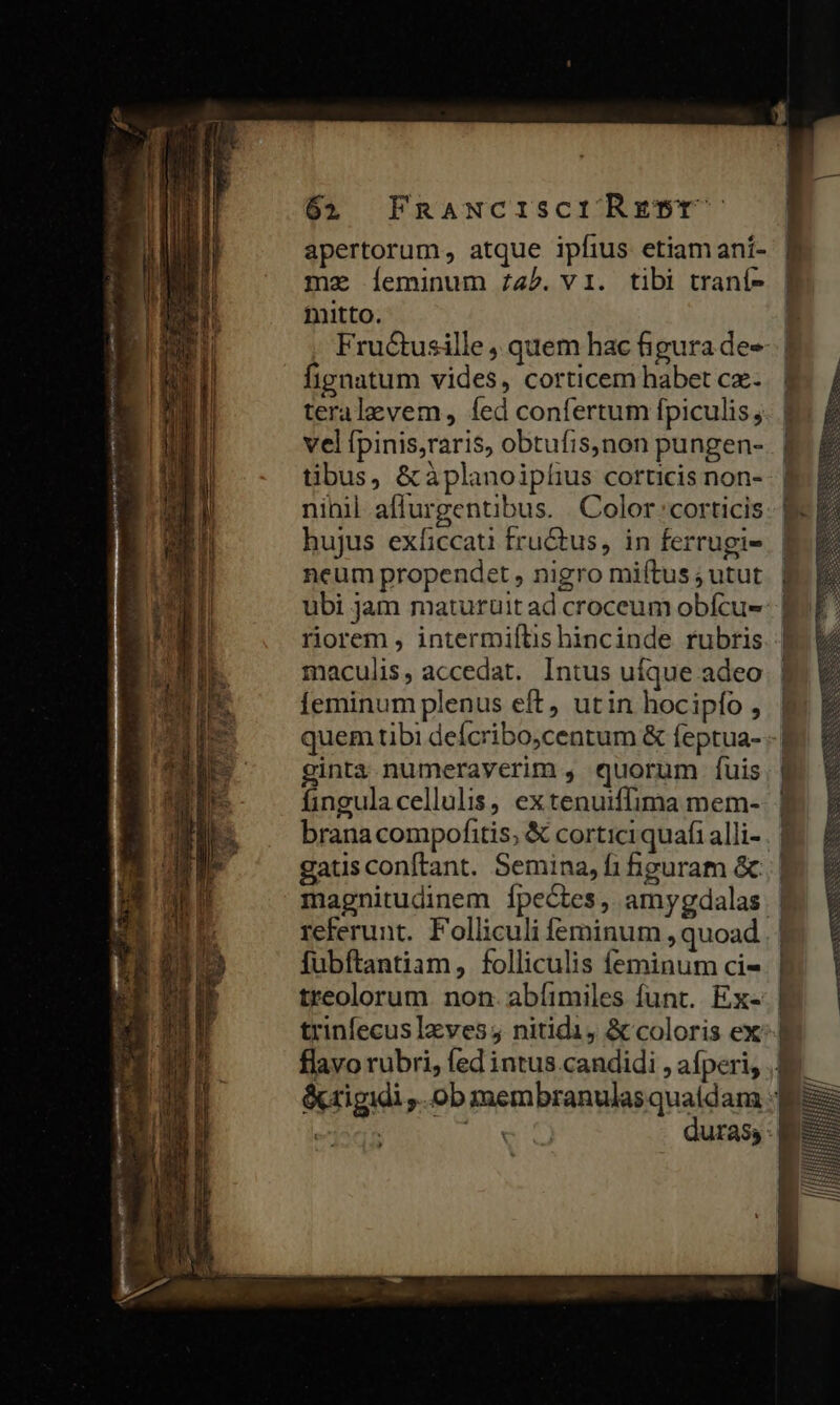 d oam s — LS a ata ae Ron PN Li Nm AN NU, ia 62 FnRANCISCIRETBT apertorum, atque ipfius etiam ani- mz Íeminum /45.vI. tibi traní- mitto. E Fructusille , quem hac figura de-- | fignatum vides, corticem habet cx- teralevem, fed confertum fpiculis; vel fpinis,raris, obtufis,non pungen- tibus, &amp;àplanoiplius corucis non- nihil affurgentibus. Color corticis hujus exficcau fructus, in ferrugi- neum propendet , nigro miftus ; utut ubi jam maturüuit ad croceum obícu-- | riorem , intermiftis hincinde rubris maculis, accedat. Intus ufque adeo | Íeminum plenus eft, utin hocipfo , | quem tibi defcribo,centum &amp; feptua- - | ginta numeraverim , quorum fuis fingula cellulis, ex tenuiffima mem- brana compofitis; &amp; corticiquafi alli- gatus conftant. Semina, f1i figuram &amp;.; | magnitudinem Ípectes, amygdalas | referunt. Folliculi ferninum , quoad fubftantiam, folliculis feminum ci- treolorum. non. abíimiles funt... Ex- trinfecuslzves;j nitidi, &amp; coloris exl flavo rubri, fed intus.candidi , afperi, .| &amp;rigidi ,. ob membranulasquaidam | XE d duras :|