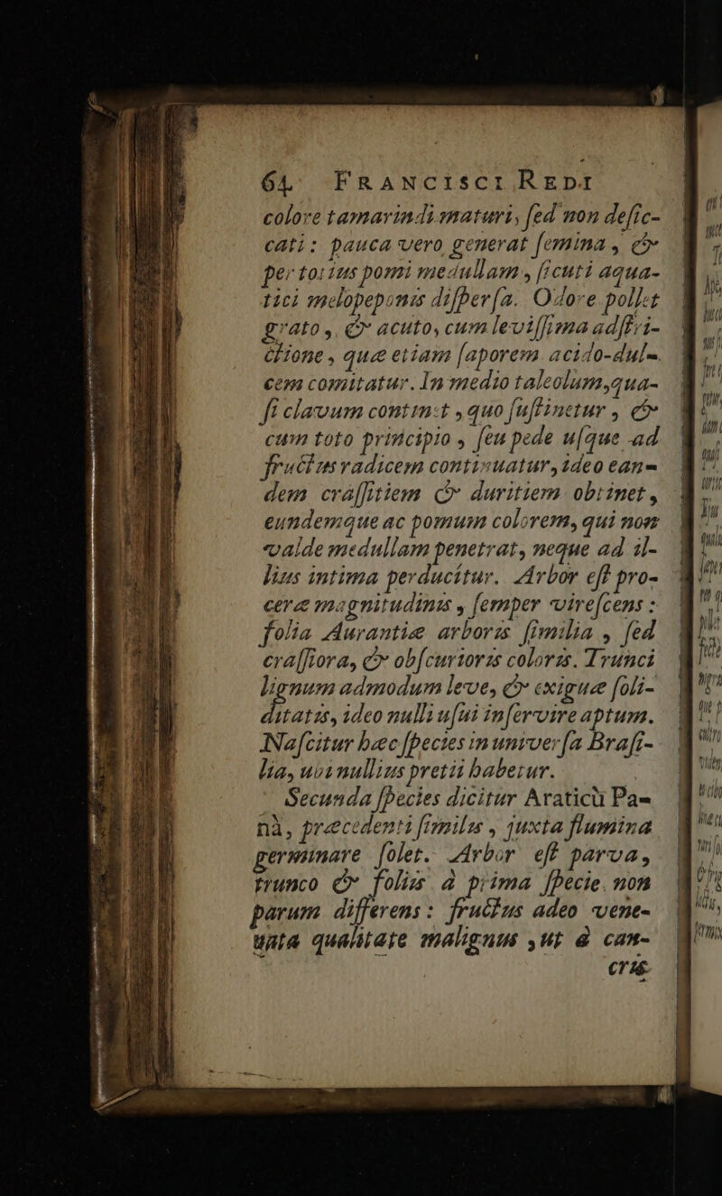 colore tamavindismaturi, fed mon defrc- cati; pauca vero generat [emina , c per toxius pomi medullam , [cuti aqua- tici qmelopepomis difber[a.. Odore. pollet grato, acuto, cum leviffima adfPri- GHione , que etiam [aporem .acido-dul-. cem comitatur. In medio taleolum,qua- fi clavum contin:t ,quo fufiinetur , e$ cum toto principio , [eu pede u[que ad. fruciusvadicem contisuatur,1deo ean- dem crá[[itiem (i duritiem. obrinet , eundemque ac pomusn colorem, qui noe valde medullam penetrat, neque ad il- lins intima perducitur. Arbor eff pro- cer magnitudinis , [emper vvire[cens : folia Aurantizee arborzs (imilia ,. ed era[fiora, c ob[curtorzs colorzs. Trunci lignum admodum leve, C exiguee [oli- stat25, ideo nulli u[ui inferre aptum. ANa[citur bec [Dectes in untver[a Brafi- lia, ust mullius pretii babezur. | Secunda [becies dicitur Araticii Pa- nà, precedenti [Imilss , juxta flumina germinave [olet. Arbor eff parva, trunco Qv folis à piima fpecie. non parum differens: fruclus adeo vene- una qualtate malignis ,ur à can- cras. y—— ode c E m. SER - fu o - ma 4-—- —1 -— pm