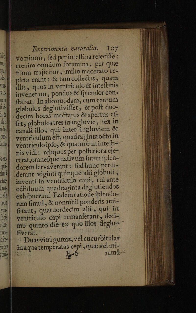 | vomitum, fed per inteftina rejeciffe: É- etenim omnium foramina, per quz filum trajicitur, milio macerato re- pleta erant: é&amp;ctam collectis, quam ilis, quos in ventriculo &amp; inteltinis inveneram , pondus &amp; fplendor con- ftabat. Inalioquodam, cum centum globulos deglutiviflet , &amp; poft duo- :decim horas mactatus &amp; apertus ef- fet , globulos tresiningluvie, fex in canali illo, qui inter ingluviem &amp; ventriculum eft, quadragintaoéto in ventriculo ipfo, &amp; quatuor in inteftie ^ nis vidi: reliquos per pofteriora eje cerat,omnefque nativum fuum fplen- dorem fervaverant: fed hunc perdi- derant viginti quinque alii globuli , inventi in ventriculo capi, cui ante octiduum quadraginta deplutiendos exhibueram. Eadem ratione fplenco- rem fimul, &amp; nonnibil ponderis ami- ferant, quatuordecim ali, qui in ventriculo capi remanferant , deci- fo quinto die-ex quo illos deglus 7 tiverat. 1 Duas vitri guttas, vel cucurbitulas inqua temperatas cepi , quz yel mi- eo ut a0 nimi