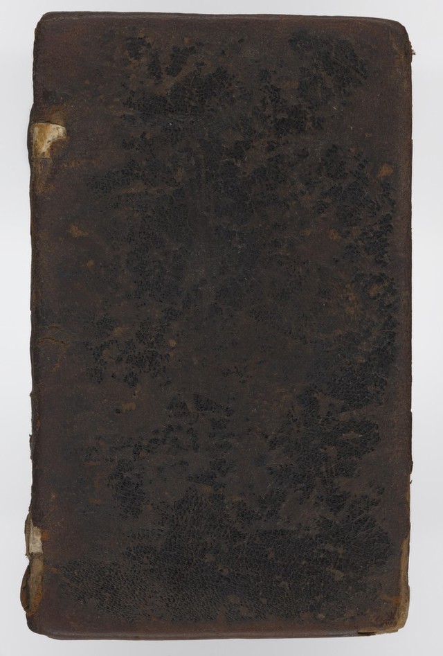 No text description is available for this image