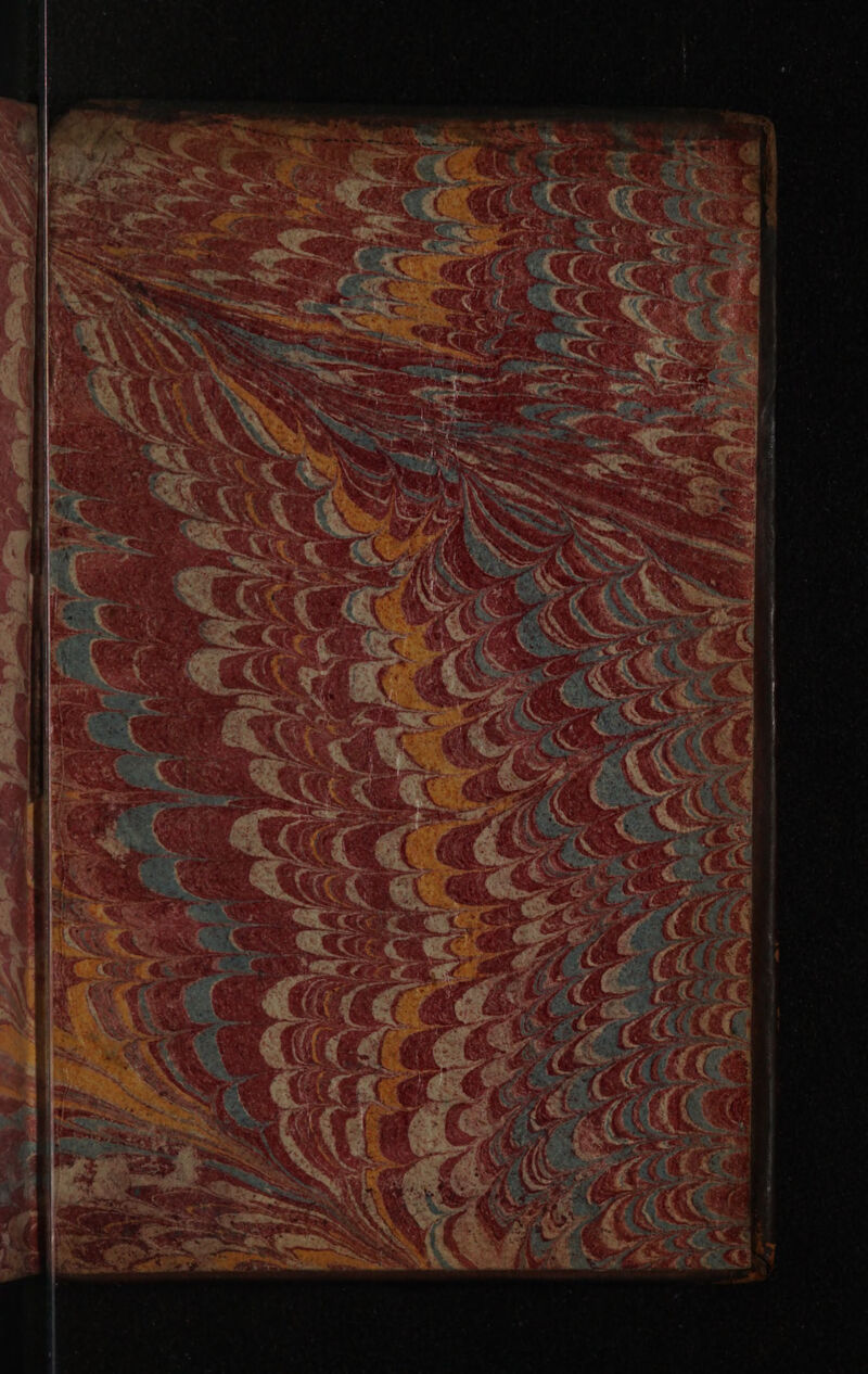 No text description is available for this image