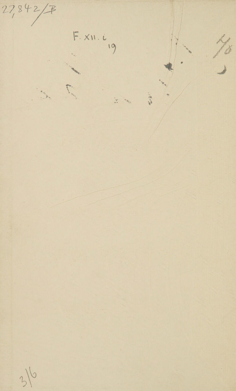iv