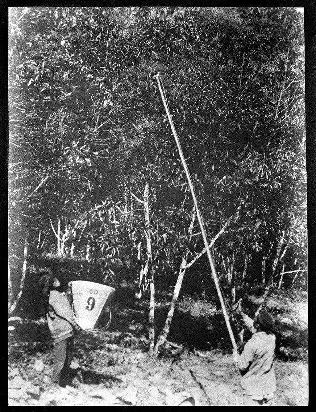 No text description is available for this image