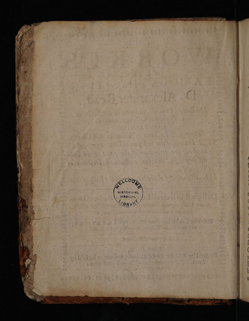 = a i a ie a ie ee eS Sa. Oe. . aes i 2. EF SCG / MEDICAL Steck: BRAS