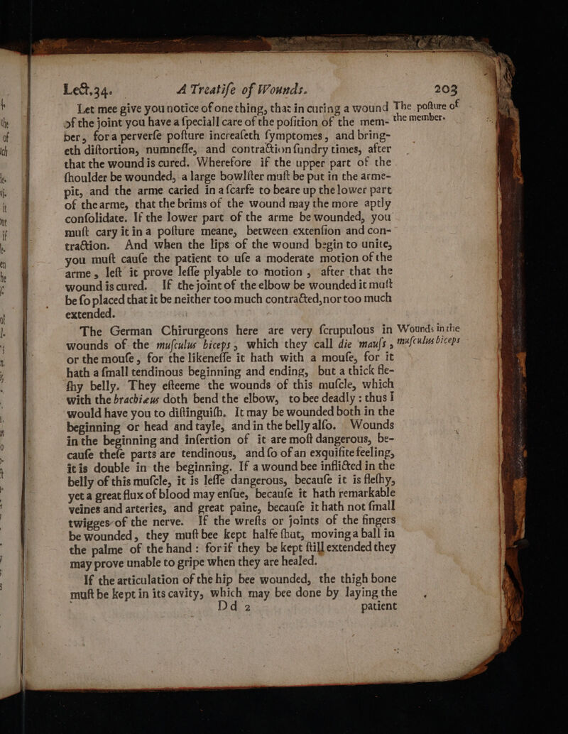 Let mee give you notice of one thing, that in curing a wound of the joint you have a {peciall care of the pofition of the mem- ber, fora perverfe pofture increafech fymptomes, and bring- eth diftortion, numneffe, and contra&amp;ionfundry tines, after that the wound is cured. Wherefore if the upper part of the fhoulder be wounded, a large bowlfter muft be put in the arme- pit, and the arme caried in a{carfe to beare up the lower part of thearme, that the brims of the wound may the more aptly confolidate. If the lower part of the arme be wounded, you muft cary itin a pofture meane, between extenfion and con- traction. And when the lips of the wound begin to unite, you muft caufe the patient to ufe a moderate motion of the arme 5 left it prove lefle plyable to motion , after that the woundiscured. If thejointof the elbow be wounded it matt be fo placed that it be neither too much contrated,nor too much extended. | The German Chirurgeons here are very fcrupulous in wounds of the mufculus biceps, which they call die mau{s , or the moufe, for the likeneffe ic hath with a moufe, for it hath a fmall tendinous beginning and ending, but a thick fle- fhy belly. They efteeme the wounds of this mufcle, which with the brachieus doth bend the elbow, tobee deadly : thus i would have you to diftinguifh. It may be wounded both in the beginning or head and tayle, and in the bellyalfo. Wounds in the beginning and infertion of it are moft dangerous, be- caufe thefe parts are tendinous, and fo of an exquifite feeling, itis double in the beginning. If a wound bee infli&amp;ted in the belly of this mufcle, it is lefle dangerous, becaufe it is flelhy, yet a great flux of blood may enfue, becaufe it hath remarkable veines and arteries, and great paine, becaufe it hath not {mall twigges-of the nerve. If the wrefts or joints of the fingers be wounded, they muftbee kept halfe (hut, movinga ball in the palme of the hand: forif they be kept ftill extended they may prove unable to gripe when they are healed. If the articulation of the hip bee wounded, the thigh bone muft be kept in its cavity, which may bee done by laying the Dd 2 patient Wounds inthe mufculus biceps