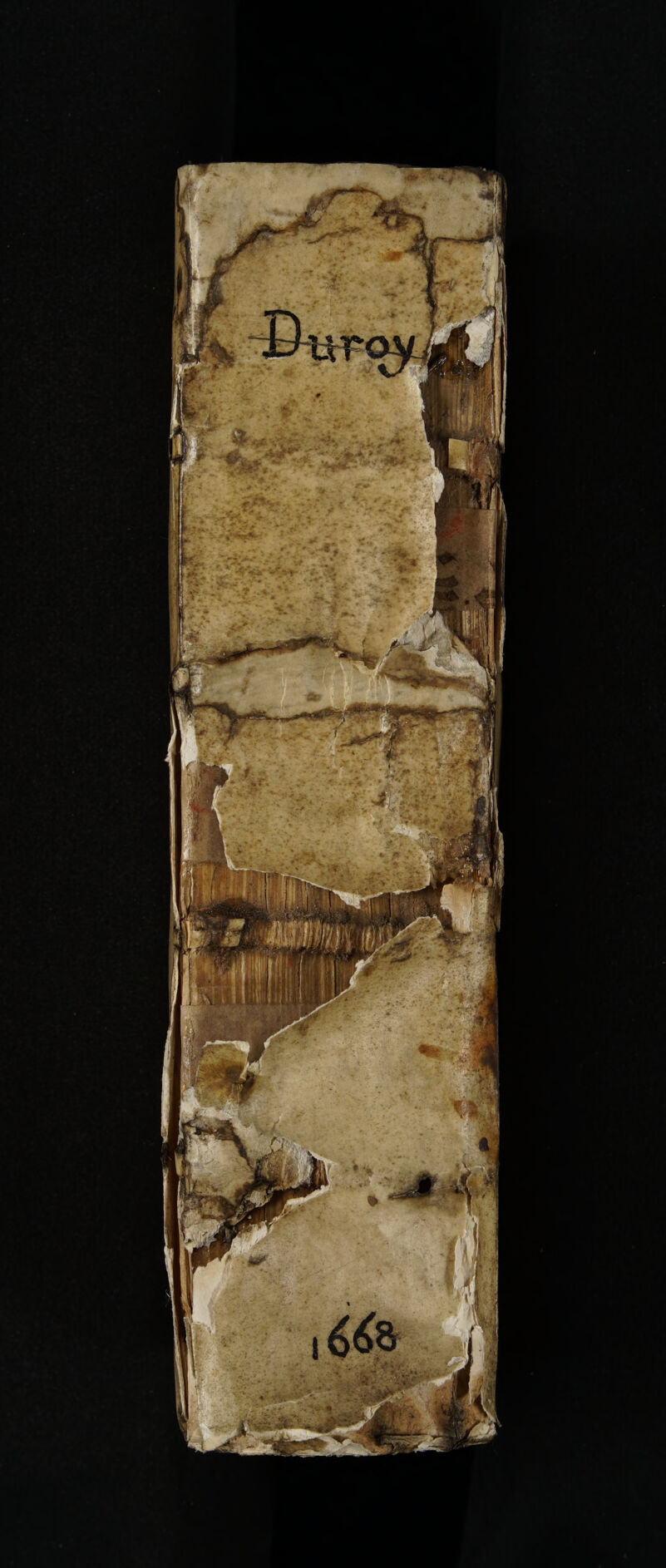 No text description is available for this image