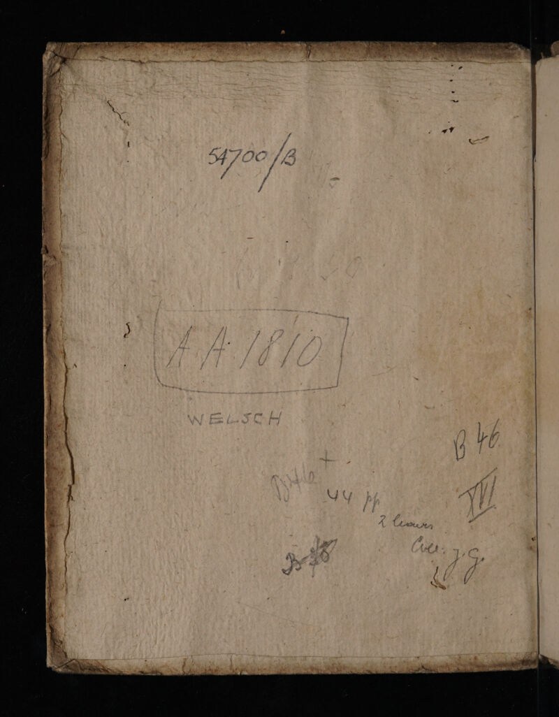 No text description is available for this image