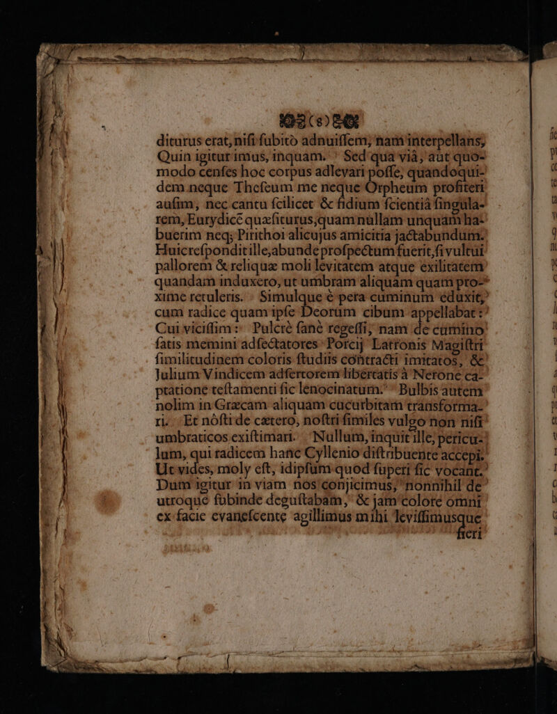p rv t i ' : erem ommo iie tas 5L EGRE AN RR caa 3 COE diturus erat, nifi fubito adnuiffem; nam interpellans, Quin igitur inius, inquam. ' Sed'qua vià, aut quo- modo cenfes hoc corpus adlevari poffe; quandoqui- dem.neque Thefeum me neque Orpheum profiteri aufim, nec cantu fcilicet &amp; fidium fcientià fingula- rem, Eurydicé quafiturus;quam nüllam unquam ha- buerim neq; Pirithoi alicujus amicitia ja&amp;tabundum. Huicrcíponditillejabunde profpectum fueritfi vulcui pallorem &amp; reliqua moli levitatem atque exilitatem quandam induxero, ut umbram aliquam quati pro-* xime reculeris. « Simulque € peta cuminum eduxit; cum radice quam ipfe Deorüm cibum appellabat :* Cui viciffim:: Pulcré fané regeffi; nam de cümino: fatis memini adfectatores Porcij; Latronis Magiftri fimilitudinem coloris ftudits contracti imitatos, &amp; Julium Vindicem adfertorem libércatis à Netone ca- ptatione teftamenti fic lenocinaturn: * Bulbis autem nolim in Grzcam aliquam cucutrbitam traasforma. ri... Et nóftide cxtero, noftri fimiles vuleo non nifi umbraticos exi(timart.. Nullum, inquit ille; pericu- lum, qui radicem hanc Cyllenio diftabuente accepi Ut vides, moly eft, idipfum quod fupeti fic vocant. Dum igitur in viam. nos'conjicimus, nonnihil de utuoque fobinde deguítabam, &amp; jam coloré omni ex facie evaneícente agillimüs mihi Teviffimusque fieri — — ——————