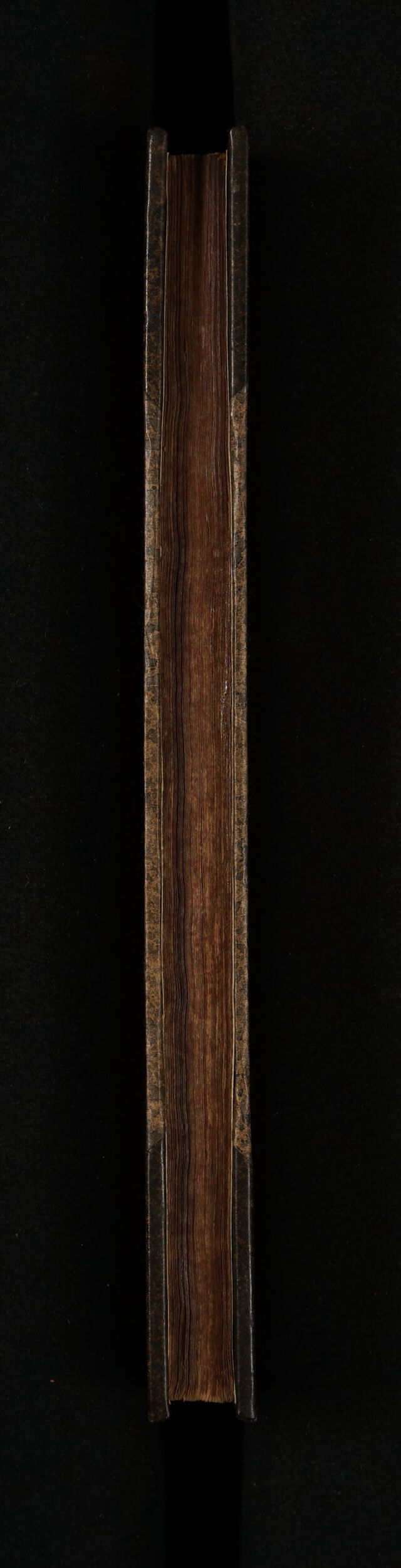 digitised image 3