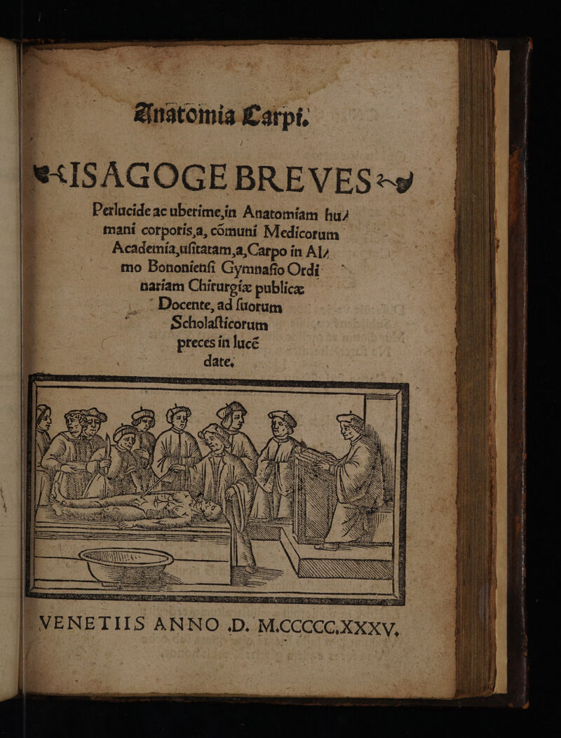 Di Re pt LETI RSS gnatomia Larpi, e:ISAGOGEBREVES*y Si Perlucide ac uberime,in Anatomia hu I mani corpotis,a, comuni Medicorum Academia, ufitaram,a,Carpo in AI/ mo Bononfenfi Gymnafio Ordi nasiam Chirurgia publica | “ Docente, ad {uorum Scholafticorum preces in lucé Striano, ine Cf L,) 4} EI IRC TS napo e i za gi nti rive, meet iù È NW È NÒÎ Mi Simi A E ea dr! ALTI 1 PRA AIA az aly Larini egg (VENETIIS ANNO DD. M.CCCCC,XXXV, i