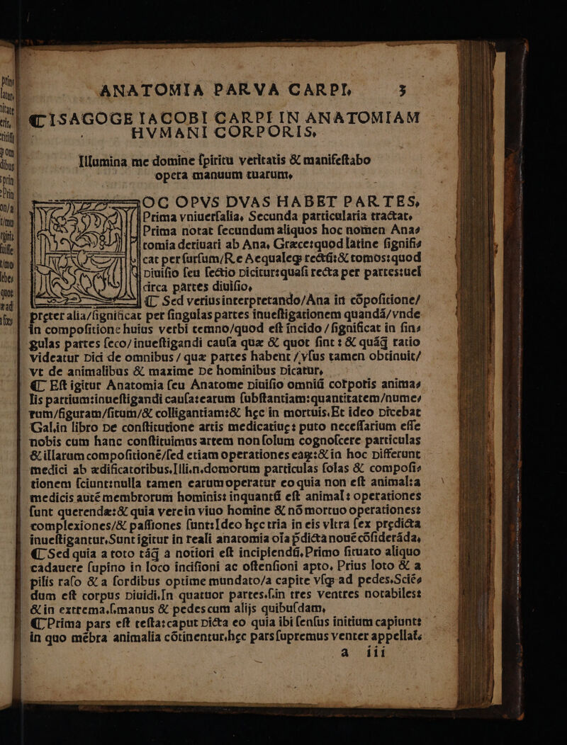 pitt ate ANATOMIA PARVA CARPI, 5 | TISAGOGETACOBI CARPLIN ANATOMIAM il: =» HVMANI CORPORIS, Illumina me domine fpiritu veritaris &amp; manifetabo | opera manuum tuaruni, Fs =—OC OPVS DVAS HABET PARTES, A({ Prima vniuerfalia, Secunda particularia trattate Prima notat fecundum aliquos hoc nomen Anas comia deriuari ab Ana, Grace:quod latine fignifis cat perfurfum/R.e Acqualeg re&amp;G:&amp; tomos:quod piuifio feu fe&amp;io picitursquafi rea per parrestuci circa partes diuifio, Ge S| { Sed veriusinterpretando/Ana in copoficione/ | prgteralia/fignificar per fingulas partes inueltigarionem quanda/vnde in compofitione huius verbi temno/quod eft incido / fignificat in fins gulas partes feco/inueftigandi caufa qua &amp; quot fint: &amp; quag ratio videatur Dici de omnibus / qua partes habent /iy{us tamen obtinuit/ | vt de animalibas &amp; maxime De hominibus Dicatur, | ‘ (C Eftigitur Anatomia (eu Anatome piuifio omni cofpotis animas . lispartium:inueftigandi caufazcarum fubftantiam:quantitatem/numes rum/figuram/fitutmn/&amp; colligantiam:&amp; hec'in mortuis.Et ideo picebat Gal.in libro pe conftitutione artis medicatiug: puto neceffarium efie nobis cum hanc conftituimus artem non folum cognofcere particulas &amp;.illaram compofitione/fed etiam operationes eag:&amp;in hoc pifferunt medici ab adificatoribus.Illi.n.domorum particulas folas &amp; compofia tionem fciunt:nulla tamen carumoperatur co quia non eft animal:a. medicis autémembrorum hominist inquantii et animal: operationes funt querenda:&amp; quia verein vino homine &amp; n6mortuo operationest complexiones/&amp; paffiones funt:Ideo hectria in eis vitra (ex predi@ta -inueftigantur,Suntigictur in reali anatomia cia pdi&amp;a none cofiderada, È (Sed quia a toto tig a notiori eft incipiendfi, Primo fituato aliquo | cadauere (upiîno in loco indifioni ac oftenfioni apto, Prius loto &amp; a | pilis ralo &amp;a fordibus optime mundato/a capite vfg ad pedes,Sciéa dum eft corpus piuidi.In quatuor partessfin tres ventres notabilest _&amp;in extrrema.fimanus &amp; pedescum alijs quibufdam, € Prima pars eff telta: caput picta eo quia ibi fenfus initium capiunt: ‘in quo mébra animalia c6tinentur,hgc parsfupremus venter appellats