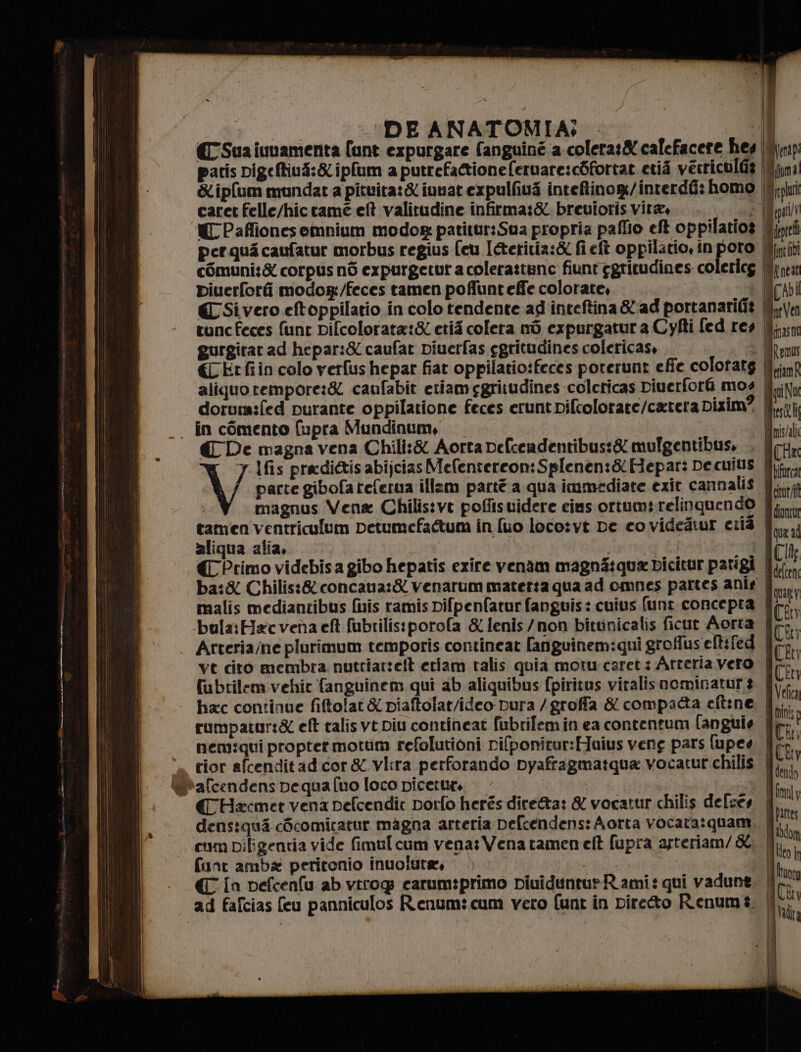 d| Sad portanarifit | purgatur a Cyfti fed res |l gurgitar ad hepar:&amp; caufar piuerfas egritudines colericas. Ù €Etfiin colo verfus hepar fiat oppilatio:feces porerunt effe colotatg |}; aliquo rempore:&amp; caufabit etiameggritudines colericas Diuerforfi mos [N doruma:fed purante oppilatione feces eruntvifiolorate/catera Dixim? | . in cimento fupra Mundinum, —. € De magna vena Chili:&amp; Aorta pefcendentibus:&amp; mufgentibus. . | 7 Ifis predi&amp;is abijciasMefentereon:Splenen:&amp;Hepar: De cuius | V parte gibofa referua illam parté a qua immediate exit cannalis | magnus Vena Chilis:vt poffisuidere eius ortumi.relinquendo tamen ventriculum petumefa@tum in [uo locosvt De covideatur eri | aliqua alia, | i Cl (CPrimo videbisa gibo hepatis exire venam magné:qua vicitur parigi | bra ba:&amp; Chilis:&amp;concana:&amp; venarum materta qua ad omnes partes anig |, malis mediantibus fis ramis pifpenfatur fanguis: cuius.(unt concepra | ted bula:Hacvena eft fubrilistporofa &amp; lenis/non bittnicalis ficur Aorta | Arteria/ne plurimum temporis contincat fanguinemiqui groffus'eft:fed vt cito membra nuttiarteft etiam talis quia motu caret: Atteria vero | fubtilem vehic fanguinem qui ab aliquibus (piritus vitalisnoominatur 3 hac continue fiftolat&amp; piaftolat/ideo Dura /groffa &amp; compacta eft:ne, |... rumpatur:&amp; eft calis vt piu contineat fubrilemin ea contentum languie | nem:qui propter motum refolutioni rifponitur:Haius veng pars (upes | . tior alcenditadcor&amp; vlira perforando Dyafragmatqua vocatur chilis | *afcendens pequa fuo loco picetur € Hxcmet vena pefcendic porfo herés direta: &amp; vocatur chilis delses densiqua cScomicatur magna arteria Defcendens: Aorta vocara:quam,, l. cum Diligentia vide fimul cum vena: Vena tamen et fupra asteriam/&amp;. | fant amba peritonio inuolute, Cna € in pefcenfu ab virog carum:primo piuiduntur Rami: qui vadunt. | ad fafcias (eu panniculos Renum:cum vero funt in Direto Renums. |