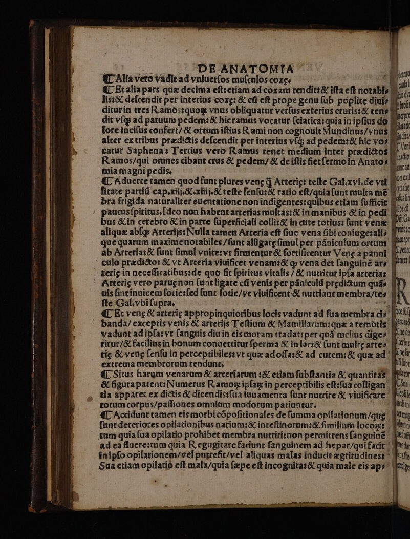 rien ini e #1 -— __ t:PIDRANATOME?: o | (CAlia vero vaditad vniuetfos mufculoscores |. dn € Etaliapars qua decima eft:etiam ad coxam tendit:&amp; ifta eft norabia|l h n lis:&amp; defcendir per interius coxg: &amp; cti ef prope genu fub poplite diuis || » diturin tresR.amostquor vnus obliquatur verfusexterius cruris:8 tene i i dit v[g: ad paruum pedem:&amp; hicramus vocatur (ciatica:quia in ipfius do n Tore inci(us confert/&amp; ortum iftius Rami non cognouit Mundinus/vnus fe alcer extribus pradictis defcendir per interius vfg; ad pedetm:&amp; hic vo? |  catur Saphena: Tertius vero Ramus tenet medium inter pradi&amp;tos || | Pa Ramos/qui omnes cibant crus &amp; pedem/ &amp; deiftis fiet fermoin Anatos mia magni pedis, i i » ficate partiti capsxii&amp;yxtiij,&amp; tefte fenfu:X ratio eft/quiafunt multa mé Mic bra frigida naturaliter euentatione non indigentestquibus etiam fufficie 0°! paucusfpiritus.[deo non habentarteriasmultas:&amp;inmanibus &amp; in pedi | pod bus &amp;in cerebro &amp;in parte fuperficiali colli.&amp; in cute totius: lunr vena | di aliqua ab ArterijstNulla tamen Arteria eft fiue vena fibi coniugeralio MU‘ quequarum maximenorabiles /funt alligate fimul per piniculum ortum | ab Arteria:&amp; [unt fimol vnite:vi firmentur&amp; fortificentur Veng a panni N - uisfinrinuicemforie:fed (unt fotie/ye viuificent-&amp; nutriantmembra/tes | R fte Gal.vbi [upra, = È «Et vene &amp; arterie appropinquioribus [ocisvadunt ad fua membra cià° ed banda/exceptis venis &amp; arterijs Teftium &amp; Mamilfarumiqua a remotis! IK vadunt adipfa:vt fanguis diuin eismoram tradat:per qua melius diges' | Lned ritur/&amp; faciliusin bonum conuertiturfperma &amp; inlac:&amp; funt mulre atte? | deri rie &amp;veng fenfu in perceptibilessvi qua adolfa:&amp; ad cutem:&amp; qua ad’ Unela extrema membrorum tendunt, ‘fpinto € Situs harym venarum &amp; arceriatum :&amp; etiam fubftantia &amp; quantitas. filo &amp; figura patent: Numerus Ramor ipfar in perceptibilis'eft:(ua colligan. | Cw tia apparet ex di&amp;is &amp; dicendis:fua ivuamenta funt nutrire &amp; viuificare ‘ Will rotum corpus/paffiones omnium modorum patiuntur, di LI € Accidunt tamen eis morbi c6pofitionales de (umma opilationum/que Mt funtdeterioresopilationibus narium:&amp; inteftinorum:&amp; fimilium locor:s film adeafluere:tum quia R egugitare faciunt fanguinem ad hepar/qui facit ‘ Mld înipfo opilationem/vel pugrefit/vel aliquas malas inducit agritudinese* Mh Sua ctiamoopilatio eft mala/quia (ape eftincognita:&amp; quia male eis aps* \jtuk: Re n e e ca rt dA TETI E E