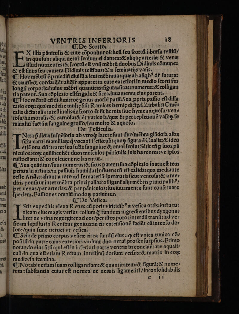 si sal | (TC De Scorto, pit È X iftis pinicalis &amp; cure ciponiturofchefi fcu fcortfi,i.burla teftii/ tatto eog:qua.mediste multe fiit R'amices hernig diéte.,ZirbalistOmes De Tetfticulis, I etigova diir:caret fua ua fanguine &amp; omni fenfu:Sétit tifi p[uos ps € Sua quatitas/fuus numerus:&amp; fitus patenttlua cSplezio inata efttem tefte Arift.trahunt a roto ad fematerii {permatis ficut ventofa:&amp; a mes per venas/per arrerias:&amp; per piniculos:fua iuuamenta funt conferuare i { De Vefica, I Stis expeditis eleva Renes cfiporisviritidib? a vefica ortis:inttatus nicam eiusmagis verfus collum G fundum ingredientibus dyagonas fiter ne vrinaregurgitet ad cos/periftos porosinterditranfitadves medio/in foemina. | D' iena PIE CAR CAMEO ss ian sin AA è R Ù iper ad SA arte e FARLA TA
