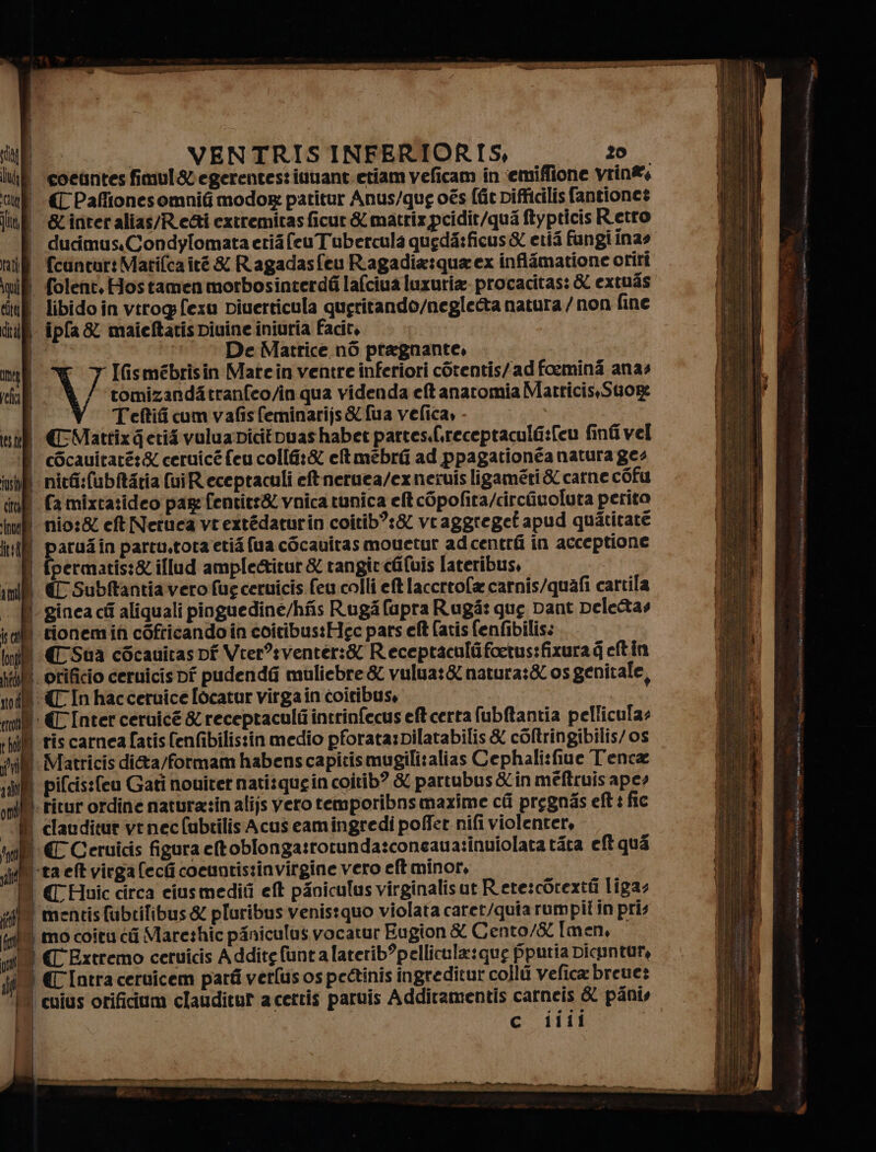 Ani SE VENTRIS INFERIORIS, zo ih coeantes fimul8egerentestinuant etiam veficam in iemiffione vrin&amp; cf «{ Paffionesomnifi modog: patitur Anus/qug ces {fit pifficilis fantione? lin &amp;inveralias/Re&amp;i extremitas ficur &amp; matrix pcidit/qua ftypticis Retro | dudimus.CondylomataceriafeuTubercula queda:ficus&amp; etii fungi ina» if fcancar: Matifca ité &amp; Ragadasfeu Riagadia:qua ex inflimatione oriri iui folent, Hostamen morbosinterdì lafciua luxuria. procacitas: &amp; extuas ili libido in vtrogfexu piuerticula qugritando/negletta natura / non fine dii ipfa &amp; maieftatis piuine iniuria facit, | | | De Matrice n6 pragnante, meg IGisméebrisin Matein ventre inferiori còrentis/ad foemina anas Pei RE. i i tomizanditranfeo/in qua videnda et anatomia Matricis Suor W Teftificumvafisfeminarijs&amp;{ua velica, - , (she €=MattixGerié vuluapicitovuas habet partes.f(,receptaculG:fcu finti vel | cOcauitaré:&amp; ceruicé feu collf:&amp; ct mebra ad ppagationéa natura geo inhfi nicfi:(ubftaria (ui R eceptaculi eftneruea/exneruis ligaméti &amp; carne cOfu itali fa mixtazideo pare fentitt&amp; vnica tunica eft cOpofita/circiiuoluta perito uf nio:&amp; eft Neruca vrextédaturin coitib?:&amp; vraggregef apud quatirate nl paru4in partu,totaetié fua c6cauitas mouetur ad centri in acceptione 1 fpermatis:&amp; iflud ample&amp;itur &amp; rangit cifuis lateribus, imill € Subftantia vero fug ceruicis feu colli et laccrtofa carnis/quafi cartila . R- ginca ci aliquali pinguedine/hfis Ruga (upra Rugî: gue Dant peleas al] tionemin cOfricando in coitibustHec pars eft (atis fenfibilis. Inf? {Sua cScauitas pf Vrer?:venter:&amp; Receptaculifoerus:fixura qeftin ili. orificio ceruicis pf pudendG muliebre &amp; vulua:&amp; natura:&amp; os genitale, ud «© In hacceruice [ocatur virga in coitibus, mail € Inter ceruicé &amp; receptaculi intrinfecus eft certa fubftantia pellicula: : if ris carnea [atis (enfibilistin medio pforata:pilatabilis &amp; coltringibilis/ os vil: Matricis di&amp;a/formam habenscapitismugili:alias Cephali:fiue Tenca sil pifcis:feu Gati nouirer natitque in coitib? &amp; partubus&amp;in méftruis aper nil: ricur ordine naturasin alijs vero temporibnsmaxime ci pregnas eft 3 fic —® clauditur venec(ubtilis Acus camingredi pofier nifi violenter, Sui: € Ceruicis figura ct oblonga:torunda:sconeaua:inuiolata tata eft qua ff mentis fubrifibus&amp; pluribus venistquo violata caret/quiarumpit in pri (nf mo cotta ci Mare:hic piniculus vocatur Eugion &amp; Cento/&amp; Imen, mi «C'Extremo ceruicis A ddite funta laterib’pellicula:que pputia Dicuntur, jg(® € Intra ceruicem parti verfus os peétinis ingreditur collù vefica breue: (0 cuius orificium clauditul acettis paruis Additamentis carneis &amp; pinis i c iiii - — ere o EDT EA n CT w Ùrtimi eli - Seen Tana Si RO TI iti at E vida at presto SR NARRA dear cadi ‘mm RSI calici y o t) SET armerina