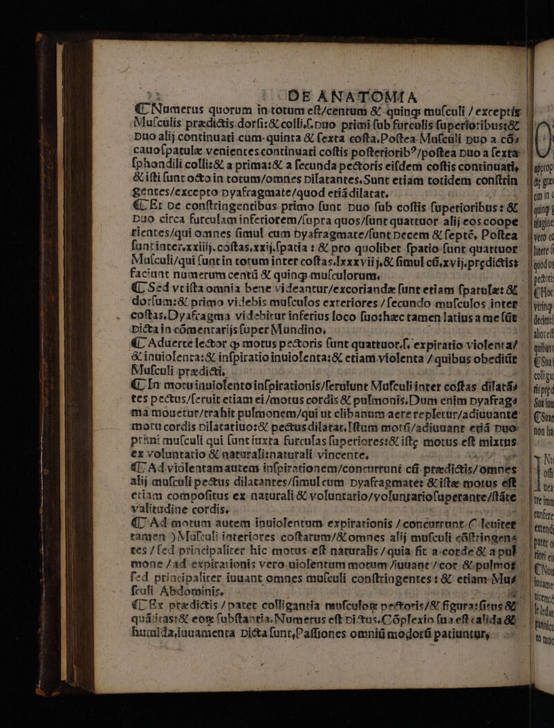 e TT ERBE cn ———t_t——m—t— } DE ANATOMIA CNumerus quorum intotumeft/centum &amp;-quings mulcali / exceptis Mufculis pradiais.dorfi:&amp; colli.(fvuo primi fub furcalisfuperforibusi82 Ggentes/excepro pyafragmate/quod etisdilatat, | Ì ricntes/qui omnes fimul cum byafragmate/funt Decem &amp; fepté, Poltea Mafcali/qui funtin rotum inter coftas.Ixxxviij,&amp; fimul céi,xvij.predi&amp;tist faciunt numerum centi &amp; quings.mulculorum, | € Sed vrifta omnia bene videantur/excorianda [untetiam (patula: &amp; dorfum:&amp; primo videbis mufculos exteriores:/fecundo mufculos inter coftas.Dyafragma videbirur inferius foco fuoshactamenlatiusame (Gt € Aduerte letor 4 motus pectoris (unt quattuor.('expiratio violenta) Xinuiolenta:&amp;.infpiratioinuiolenta:&amp; etiami.violenta /quibus obedifit Muafculi.praditti, . | RIST. € In morvinuiolentoinfpirationis/ferutunt Mufculiinter coftas dilata tes peus/feruitetiamei/motus cordis &amp; pulmonis:Dum cnim nyafraga ma mouetur/trahit pulmonem/qui ut clibanum aere repletur/adiuuante motu cordis.pilatatiuo:&amp; pettusdilatat.IMtum motfi/adiuuant evi Duo: primi mufculi qui (untiuxta furcufas fuperiorest&amp; ifte motus.eft mixtns. ex voiuntario &amp; nataralisnaturali vincente, a € Adviolentamautem infpirationem/concurruni cli predittis/ omnes tiiam compofitus ex naturali &amp; voluntario/voluntarioluperante/Nate valitudine cordis, EL lenniio «U'Ad motum autem inuiofentum expirationis /concurrunt:C leviter tamen ) Mufcali interiores coftarum/&amp;omnes alij mufcali cSffringena res /{ed principaliter hic motus eft naturalis /quia fit a-corde &amp; a pul fruli Abdominis, qua:iras:&amp; cor: fubltantia. Numerus et DitusCSplexio (na efttalida&amp; humida,iuuamenta Di&amp;tafunt,Pafliones omnifimogdord patiuntyrs. Wkirere{ N quodo! ll ytring i decimi: | llosel | Quibust MUIONITI ) colliga I nispig: | Sorino | (Su | non ha il ai È (A Uta tte ima | cunfere i extend pater Fori ci il leda 0 mo