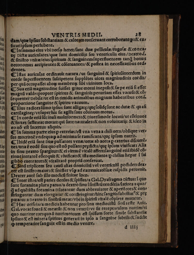 Uta ire, DÈ Lagg i VENTRISMEDIL 28 «LInfummo eius vbi porfo heret/funt dua pellicula/rugofa &amp;concas tg Dita auriculares/qua funt domicili)s feu ventriculis eius /Dextro, &amp; finitro vnita/ciusfpiritum &amp; fanguinemfupertfluentem tang bonus Spi accipientes &amp; coferuantes/&amp; poftea in necellitatibus reds entese o (CIftas auriculas ordinauit natura /ut fanguiné &amp; fpiritfinterdum in corde (uperfluentem fafciperent fupplétes uices magnitudinis cordis/ . per qua occupaffet aliog membro fibi vicinium Toca, Lai magnfi valde:proprer fpiritus &amp; fanguinispenuriam eflec vacutit&amp; c0s litert mati x het | klma nes; pun: È nino; BI gucto col IL, 4 qu | proportione (anguine &amp; (piritu vacuum, € Bius radicesffimo ipfius funt alligare/quefolidefunt ac dura: &amp; qu ali cartilaginee/vefuperhis fit agilis (uus corinuus motus. | €In corde eria farinuli multiformes:&amp; piuerfimode locati/ut corinuos &amp; forces (uffineatimotus: qui fune naturales:&amp; non voluntarij; &amp; ideo in co.n6 ‘eft lacertus aliquis: is | € Iù (umma parre ciusp erterius/eft vna venaa chili orta/oblique. vere fus mucronévadequag ad minima fe ramificans/qug ipfum nutrit» tes/una € code fitu quo et n6 pull'ans predi&amp;ta/que ipfum viuificar: Alfa in finu pextro fpargitur:&amp; ei virturé vitale afferesfanguiné eridibide co: tinueintranté eScoquit &amp; viuificat:&amp; ifta mediante/p chilim hepat i (ui gibbo enenraturs&amp; vitalitate proprià conferuate TH al Sinti triplice feu cauti alias domicilifi vel ventriculti pofider:dexs er et finitromaior:&amp; finifter vg ad extremicatelua cufpidis peruenit, Dexter auté fub illo modicfi finitur foco, C Inter itos/el paries denfus&amp; (pifus/a Gal.Dyafragma Di&amp;tus: Î quo fune foramina plura parua/a dextro finu i Giniftrfi renderia/latiora a quo/ Gadqué:ita foramina pilatantur dum abbreuiatur &amp; aperit cor:&amp; con? ftrioguntur dum elongatur &amp; conftringitur/hinc fanguisfubtiliar’&amp; pre paratus a Deztro În finiftrfimear/vbiin fpirità vitale coplete mutatur, € Haxc orificia/a medicishabentur pro fina medio:iftt fintitefte Aulo, | Gal.vocarfouci &amp; mearfit S non ventré/ve fit recepraculum nutrimeri quo nutritur cor:quod'nutrimentam eft fpiffum forte fimile fubftantia ipfius:&amp; et minera fpiritus generati in ipfo a fanguine (ubtili:&amp; (uddic qremperatior fanguis eltin medio ventre, | d iii) Pan rx