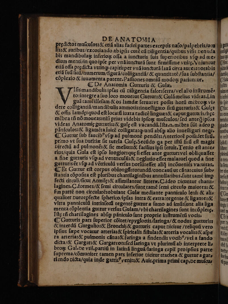pt DE ANATOMIA &lt;.&lt; pirdigo: mufculos:&amp; erid alias Faciei partes exceptis nafo/palpebris/ocu Is:&amp; auribus/excoriando abipfis cuté ci piligentia/quibus vifis penuda bis mandibulag inferiog offa a iun&amp;uris fuis fuperioribus vfgrad mes dium menti/in quo ipfe per vozianeurà unt firmifime voice, Voiuntur etia offa prediQa vtrings capitisper vos iun&amp;ura laxd circa aurestnorabis etià (uti fici/numerum/figurs/colliganti/ &amp; quantitaré /[ua fubfantia/ coplexio &amp; iuuamenta patent. Paflionesomnifi modo pariuniur, € De Anatomia Gutturis &amp; Gula, È 7 Ifismandibulisipfas ci Diligentia falcesferra/vel alio inffrumé» 7 to:integreafuo loco moue:ut Guttur:&amp; Galimelius videas.Lin gua rameilfefam &amp; os lamda ferua:vt poflis hori mébror vis dere colligantia/mandibulis amimotistinuelligaro firfi gutturis:&amp; Gules &amp; offis lamde:quodeftlocatti iuxta radicélingua:&amp; capurguttaris/hec videas Anatomig gutturis:&amp; gule ell vacandi,.I{ta,n,mébra (Gt adco p piniculos:&amp; ligaméra fuicé colligata:punti abfq alio inueftigari negro € Gutrur fub faucib?y(g ad pulmone pendés: Anteriore poffidet fici, primo vt {ua Duritia fit tutela Gulg.Seclido ga per iftt fidi et magis Diretti ad pulmone:&amp; fic melius:&amp; facilius ipfi (eruit,Terzio et antes a fine gutturis v([gad ventricu[f:&amp; peglutio effermalazuel quod a fine gutturiser vlg ad verricul verfus porfiiseffet alij incOueniés vacuitas € Et Gurrur eft corpus oblongfizrorundfi/concauti ut cna:cuius fubs vitra pannicul@ intrinfedi regentégurtur a fumo ad imfisfunt alia liga Ifte rfi chartilagines abfq pàniculo funt proprie inftrumétti vocis» SKinterdi Gurgulio:&amp; Bronchij&amp; gutturis caput picitur /reliqufi vero ipfius fape vocatur arteria:&amp; (piritalis fitula:&amp; arteria vocalis:&amp;a[pe ra arteria:&amp; pulmonis céna:&amp; faringa a findendis vocib?/vel a fando ditta/&amp; Gargar:&amp; Gargarcon:fed laringa vt plurimfi ab înterprete lis bro: Galpe veil,partifi in latiné lingua/laringa capit proipfius parte fuprema/cOmuniter tamen pars inferior picitur trachea. &amp; guetura:gare tiendo pi&amp;a/quia inde garri! venitt&amp; Auicprina primi cap,De mufcus 1 da Miuclig! Miios/qu MiCHoc Mipicinà Mtarila MCHoi Qfnitrs Mipulmor ‘ Miinfn {fto [pir (ero IIS [9(X in nec ls/fert ter obe p luced Meda Muehu I tipa
