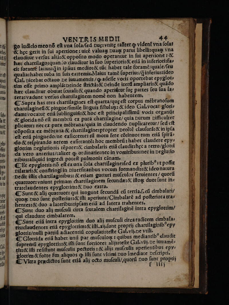 9 | _VENTRISMEDII 44 | goiudiciomeons eft vna fola/(ed Dug:vnitg raliter g videnî vna (ola? *&amp;hec gerit in (ui apertione : uicé valuag Duag: parui libelli:quar vna | €lauditur verfus alià:&amp; oppofito modo operantur in fui apertione 1 SC hac chartilago:quanco clauditur in fuo (uperiori:&amp; etia in inferiori:fas cit foramé latius:gin ipfius medio:&amp; tc habet tale forame/quale/feu qualia:haber tuba in fuis extremis.Maius tamé (uperius/Ginferius:ideo | «Gal, picebaro&amp;auo De iuuamentis/ adelfe vocis oportebat epygloto tim effe primo amplé:peinde Brità:&amp; Deinde iter ampliari:&amp; quado hac clauditur obuiar (cutali;&amp; quando aperifitut (ug partes (cu (ua [a: :teta:vadane verfus chartilaginem nomé non habentem, € Supra has tres chartilagines eft quarta/qug elt corpus mebranofum chartilagineti X pingue/fimile linguis filtulan: &amp; ideo Gal.vocat glori: dam:vocatur ctià fublinguié:&amp; hoc eft principaliffimi vocis organi? ‘&amp; glotidanò cl membil cx pura chartilagine/ quia purum Dpifficulrer plicatur: necex pura mébrana/quia in claudendo puplicaretur/ fed eft «cOpofita ex mébrana &amp; chartilagine:proptet peceté claufura:&amp; in ipla ‘elt'erié pinguedo/ne exficcetur: rd motu fere corinuo: tum ctia (pira: «do &amp;refpirando aerem exficcanté: hoc membri: habet claudere epy? glottim peglutionis répore:&amp; cimbalaris etid claudit:hgc a retro/glotià “da vero anterius/calicer @ ordinariesmecin vomitibusinec in peglutio ‘nibustaliquid ingredi pote pulmonis canam, | | «(Et epyglottisn6 eftexuna (ola chartilaginesfed ex plurib?vt poffte ‘Dilatari:&amp; conftringi in piuerfitaribus vocum formandis:&amp; ideo natura ‘edit ifis chartilaginibus: &amp; etiam gueturi mufculos feruientes / quorti ;quattuor: vniunt primam chartilaginem fecunda:&amp; iftor duo: {unt in: tratclaudentes epyglottim:&amp; Duo extra, TC Sunt&amp; alij quattuor: qui ivngunt fecunda cfi tertia,(, ci dmbalari/ quog Duo funt pofterius:&amp; ilti aperiunt/Cimbalare ad pofteriora tra: hentes:&amp; duo alateribustipfametia ad [atera trahentes, «€ Sunr duo alij mufculi circa (cutalem chartifagine intra epyglottim/ ‘qui claudunt cimbalarem, $M. ct *(C Sant etii intra epyglottim duo alij mufculi circa radicem cimbala: tistclaudentes etii epyglottim:&amp; ifti.zij.(unt propri) chartilaginib’epy ‘Qlotris/nulli partiti adiacentiù copulatistete Gal,vij.pe vili. «T Glottida erii habet uni par mufculore : quibus mediantib? elaudit fupremii epyglortis:&amp; ifti (unc forriores alijstrefte Gal.viij. pe inuame: tist&amp; ifti refiltunt muflculis pettoris: &amp; alijs muCculis aperientibus epye glottim &amp; forte fm: aliquos ilti fune vitimi Duo imediate Defcripti, £ Vitra pradittos funt etié alij oto mufculi/quorai Duo Ione PIO)