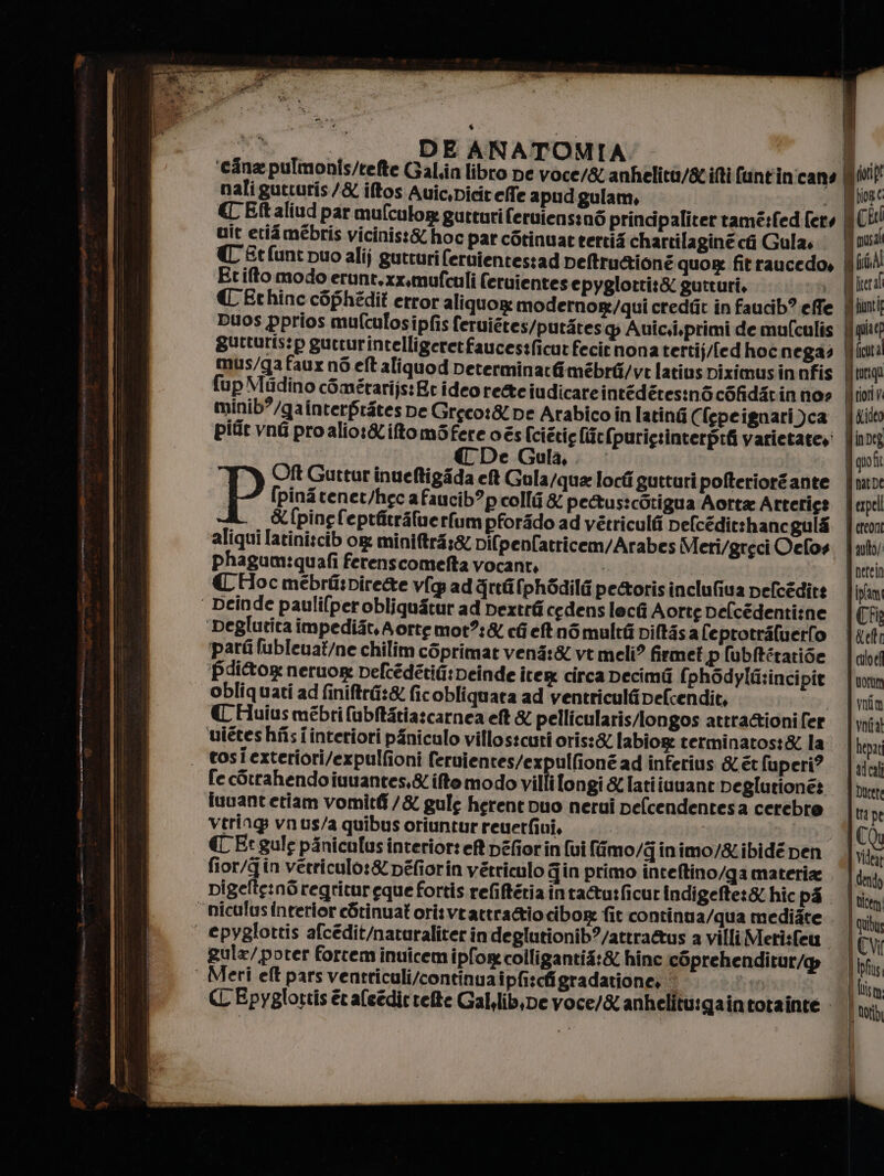 ui i DE ANATOMIA d.. ‘cina pulmonis/tefte Galin libro pe voce/&amp; anhelità/sifti funt'incans È nali gutturis/&amp; iftos Auic,picir effe apudgulam, ; C Eftaliud par mulculog gutturi feruiensiné principaliter tamé:fed fers. uit etidmébris vicinis:&amp; hoc par c6tinuac tertis chartilagine ci Gula. € Etfunt puo alij gutturi (ernientestad peftruaione quore fit raucedo, Etifto modo erunt.xx,mufculi feruientes epyglotti:&amp; gutturi, | € Echinc c8phédit error aliquog: modernore/qui credtit in faucib? effe. Duos pprios mufculosipfis feruiétes/putstes Auic.i,primi demulculis gutturis:p guccurintelligeretfaucestficut fecitnona tertij/ledhocnegas mus/ga faux né elt aliquod Determinarfimébréi/ve latiuspiximusinnfis | {up Miidino comîtarijs:Er ideo re&amp;tciudicareintédéresiné cofidatin no? minib?/gainterfràtes pe Greco:&amp; De Arabico in latin Clepeignari)ca | piùr vna pro aliot&amp;iftomi nica és i [e(purig:sinterprfi varietate,: (CT € ula, P Oft Gurttur inueftigida et Gala/qua locti gutturi pofteriorgante fiera! funtit [pinitenet/heca faucib?p colli &amp; pe&amp;us:cOtigua Aorta Arterics &amp; {ping feprfitrafuerfum pforido ad vétriculfi pefcédirshancgulé aliqui latinitcib og mini@trà:&amp; Di{penfatricem/Arabes Meri/greci Delos phagum:quafi ferenscomefta vocant. | t09! € Hoc mébré:pirete v[g ad griifphédilà petorisinclufiva pefcéditt ‘ Deinde pauli(perobligustur ad pextrfi cedenslech Aortg Delcédentizne ‘beglutita impedist, Aorte mot?:&amp; cfi et némultii pi(tsa feptotriluerfo ‘part fubleuat/ne chilim coprimat vens:&amp; vt meli? firme? p lubftétaride pditog neruor pefcédétifi:Deinde ite circa Decimii fph6dyIG:incipie obliquati ad finitrà:&amp; ficobliquata ad ventriculfipefcendit, | € Huius mébri fubftàtia:carnea et &amp; pellicularis/longos attrattioni fer ‘wiétes hîis i interiori pàniculo villostcuti oris:&amp; labiore terminatos:&amp; la | tosiexteriori/expulfioni feruientes/expullioné ad inferius &amp; ét fuperi? fe cStrahendo iuuantes,&amp; ifto modo villi longi&amp;lIatiiunant peglutione? iuuant etiam vomitf/&amp; gule herent uo nerui pelcendentesa cerebro Vtring vnus/a quibus oriuntur reuerfini, | ( (in € Et gule piniculus interior: ef DEfiorin (ui [imo/ginimo/&amp;ibidé pen fior/gin verriculo:&amp; péfiorin vétriculo gin primo inteftino/ga materia . Digelte:nGregritureque fortis refitéria inta@u:ficur indigefte:&amp; hic ps ‘ niculus interior eSrinuat orisvrattratiocibore fit continu a/qua mediàte | epyglottis afcedit/naturaliter in deglutionib?/attra&amp;tus a villi Meri:fea gula/ poter forcem inuicem ipfor colligantia:&amp; hinc coprehenditur/g Meri eft pars ventriculi/contingaipfi:cfigradatione» ;i i lism C Epyglortis èr aleédir rete Gal.lib,De voce/&amp; anhelitutgaintotainte |},