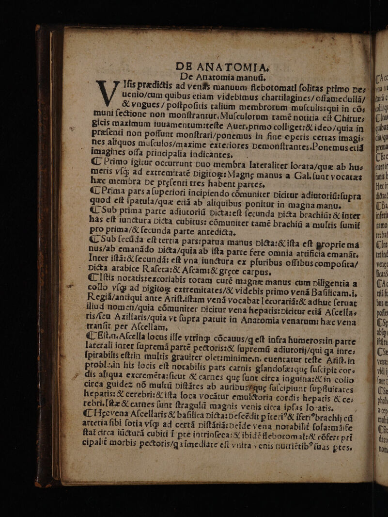 De Anatomia manub. Bicis maximum iuuamentum:tefte Auer.primo colliget:&amp; ideo/quia in prafenti non poffunt monftrari/ponemus in fine ©peris certas imagi: imagines offa principalia indicantes, € Primo igicur occurrunt Duo membra latetaliter locata/qua ab hus meris vfg; ad extremiraté Digitog: Magne manus a Gal. funt vocatas hac membra pe prefenti tres habent partes, € Prima pars aluperiori incipiendo comuniter picitur adiutorifi:fupra quod cit fparula/qua erii ab aliquibus ponitur in magna manu. &amp;L Sub prima parte adiutorii Dita:eft fecunda Dicta brachit: &amp; inter has clt tun&amp;ura Di&amp;a cubitus: comuniter tamé brachig a multis fumit pro prima/&amp; fecunda parte antedi&amp;a. «Sub (ecida eft vertia pars:patua manus pi&amp;@a:ifta eft propriema nus/ab emanido DI&amp;a/quia ab ifta parte fere omnia attificia emanit Incer ità:&amp;(ecundi: ef vna iun&amp;ura ex pluribus ofibus compofita/ Ditta arabice Rafera:&amp; Afcam:&amp; grece carpus, coilo v[g ad pigitog extremitates/&amp; videbis primo vené Bafilicam.i, Regia/antiqui ante Arift.iftam veni vocabat lecorarit:&amp; adhuc feruat Allud nomen/quia comuniter picitur vena hepatis:Dicitur ecià Afcellas ris/feu Azillaris/quia ve fupra patuit in Anatomia venarum: ha:c vena. tranfit pet Afcellam, € Elt,myAfcella locus ille vering cOcauus/g ef infra humerostin parte laterali inrer (uprema parté pettoris:&amp; lupremfi adiutorij/qui ga inre- {pirabiliseft:in multis gravirer oletiminime,n. cuentatur telte Afità.in problin his locis et notabilis pars carnis gIandolx:qug fulcipit cors dis aliqua excreméta:ficur &amp; carnes que fune circa inguina:&amp;in colio circa guidez n6 multi DiIRItes ab auribus@#qug falcipiane fpAuitates hepatis:&amp; cerebri:&amp;ifta foca vocitur emulttoria cordi s hepatis &amp; cec rebri.[fta &amp; carnes (unt ftragala magnis venis circa ipfas focatis, € Hecvena Afcellaris&amp; bafilica Di&amp;a:Defcèdit piceri?&amp; iferi’brachij cfî arceria fibi fotia vip ad certà piftiria:peide vena notabilit fola:miife ftat circa iGctar4 cubici i pre intrinfeca: ibidéfieboromat:® cGfert pri cipalit morbis pettoris/gaimediare et vnita + enis nutristib? fas press inferi ramo (Clht terne vene. lica:8 CA eri f1 f poffe