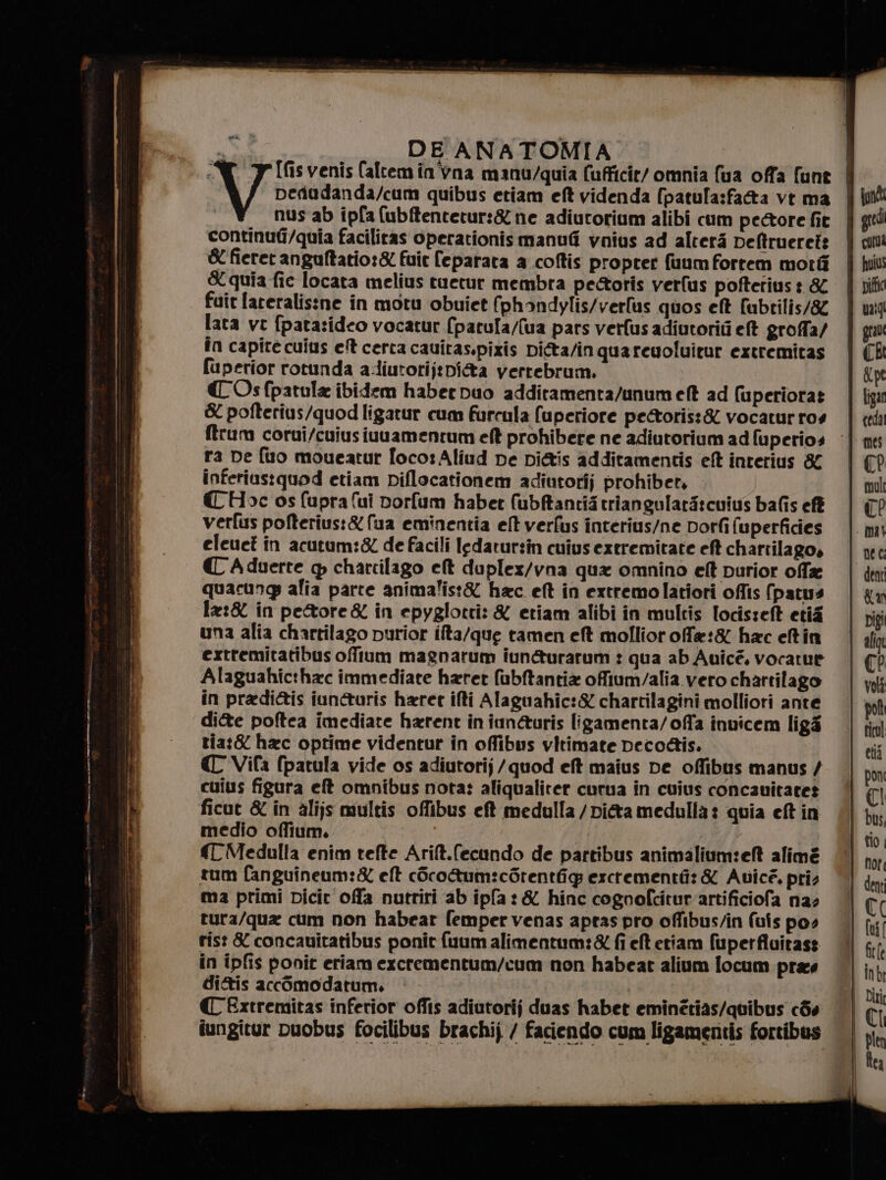 NC. 7 [fis venis (altemin'vna manu/quia fafficir/ omnia fua offa fune | Desudanda/cum quibus etiam eft videnda (patula:fata vt ma i nus ab ipfa (ubftentetur:&amp; ne adiutorium alibi cum pecore fit continu@i/quia facilitas operationismanufi vnius ad alteri Deftruerete &amp;fieret anguftatio:&amp; fuit [eparata a coftis propter fuum fortem mordi &amp; quia fic locata melius tuetur membra peoris verlus poftetius : &amp; faîr lareralisine in motu obuîiet (phondylis/verlus quos eft fubtilis/8 lata vt fpata:ideo vocatur (patula/(ua pars verfus adiutoriti eft groffa/ in capite cuius et certa cauitas.spixis Di&amp;ta/in quareuoluitur extremitas fuperior rotunda a-diutorij:pi&amp;a verrebrum. CCOsfpatula ibidem haber Duo addiramenta/unum et ad (uperioras &amp; pofterius/quod ligatur cum furcula fuperiore pe&amp;toris:&amp; vocatur ros ftrum corui/cuius ivuuamentum el? prohibere ne adiutorium ad fuperios ra De fuo moueatur foco: Aliud De pi&amp;is additamentis eft interius &amp; inferius:quod etiam piflocationem adiutorij prohiber, (Hoc os fupra fui porfum haber fubftantistriangularf:cuius bafis ef verfus pofterius:&amp; (ua eminentia et verfus interius/ne porfi (uperficies elcuet in acutum:&amp; de facili ledarursin cuius extremitate ef chartilago» CAduerte q chattilago et duplex/vna qua omnino el? purior ofa quacungp alia parte anima'is:&amp; hac eft in exrremolatiori offis (patus la:&amp; in petore&amp; in epyglotri: &amp; etiam alibi in multis locis:eft etià una alia chartilago purior ilta/que tamen et mollior ofe:&amp; hac eftin erttemitatibus offlum magnarum iun&amp;urarum : qua ab Auîcé, vocatue Alaguahic:hac immediate haret fubftanti&amp; ofium/alia vero chartilago in pradi&amp;tis iun@uris haret ifti Alaguahic:&amp; chartilagini molliori ante di&amp;e poftea imediate harent in inn&amp;uris ligamenta/offa invicem ligé tia:&amp; hac optime videntur in offibus vitimate peco@is. € Vila fpatula vide os adiutorij /quod eft maius pe offibus manus / cuius figura eft omnibus nota: aliqualiter curua in cuius concauitaret ficut &amp; in alijs multis offibus eft medulla / Dita medulla: quia eft in medio offium. ‘TMedulla enim rtefte Arilt.fecundo de partibus animalium:et alimé tum fanguineum:&amp; eft cScoRum:cSrentig ercrementii: &amp; Auicé. prio ma primi picit offa nutriri ab ipfa:&amp; hinc cognofcitur'artificiofa nas tura/qua cum non habear femper venas aptas pro offibus/in (us pos ris: &amp; concauitatibus ponit fuum alimentum:&amp; fi elt etiam fuperfiuirass in ipfis ponit eriam excrementum/cum non habeat alium focum pras di&amp;tis accOomodatum. C Extremitas inferior offis adiutorij duas habet eminétias/quibus c8s iungitur puobus focilibus brachij / faciendo cum ligamentis fortibus