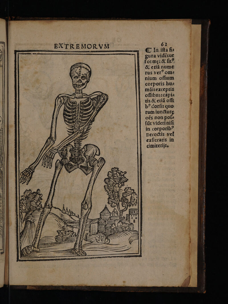 62 € In ifta fis ura videtur 8 43/1 ume &amp; . è forms Seti an Om? rus ver? nium ofium corporis hu? mii:exceptis offibus:capis tis&amp; etià ofll b? dorfi: quo rum iuncture. pofs (Gt viderinifi oés non 9 in corporib peco&amp;is ve cx I ficcatis in cimiteri)se