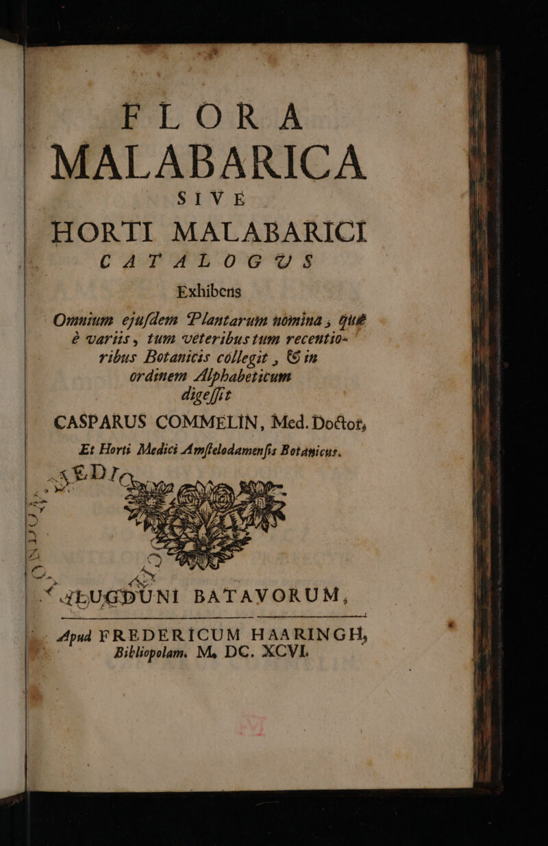 CU AIL ORA MALABARICA SIVE HORTI MALABARICI CATALOGQOS Exhibers Omuium. ejufdem. Plantarum utmina , Qus e Varius, tum veteribus tum recentio- vibus Botanicis cóllegit , 69 in ordttiem Aipbaberium digeffit CASPARUS COMMELIN, Med. Doctot, Et Horti. Medici Amflelodamenfis Botanicus. : : : ,  FS» P Ee e ^ NM A4EUGDUNI BATAVORUM, [. Apud FREDERÍCUM HAARINGH, Bibliopolam. M, DC. XCVL