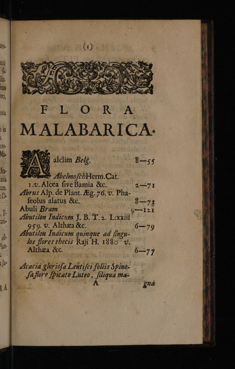 tm /LehmofcbHerm.Cat. 1.7. Álcea fiveBamia &amp;c. — $—7I 2Zbrus Alp. de Plant. ZEg. 76. v. Pha- feolus alatus &amp;c. 6—7t Abuli Bram ic XA Q—12I ZdIbutilon Indicum Jj. B. 'T. 2. L:xxiii 959. v. Althza &amp;c. 6—79 Zdbutilon Indicuim quique ad fingu- Jos fores thbetz$ Raji H. 19885. v. — Althza &amp;c. 6—77 «lcaciá gleriofa Lestifei foliis $pimo- Ja jhore fpucato Luteo, filiqua ta- T áná