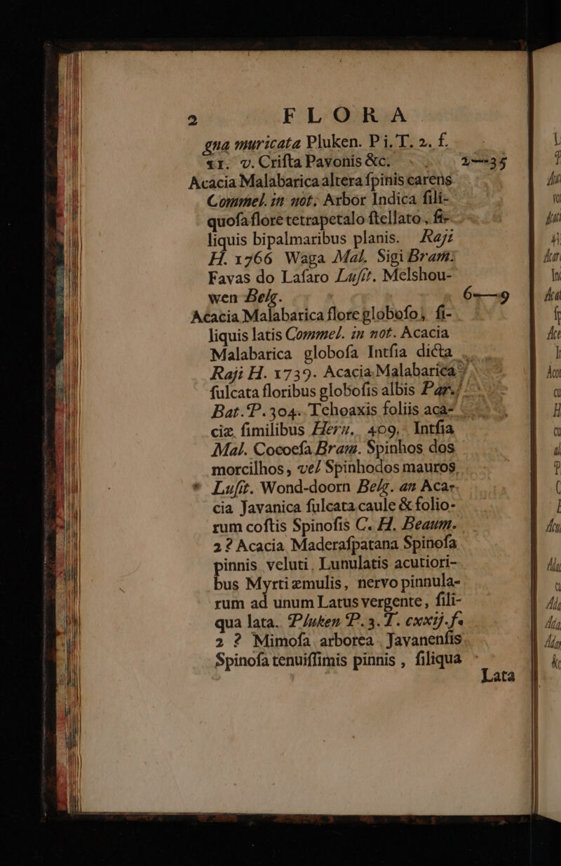 M gna muricata Pluken. P i. T. 2. £ , I. XI. v.CriftaPavonis&amp;c, . , 2—35 j 1! Acacia Malabarica altera fpinis carens Ww 4 Commel. it: uot; Arbor Indica fili- | n i| quofa flore tetrapetalo ftellato., fi EN | liquis bipalmaribus planis. Az NU AMI H. 1766 Waga Mal. Sigi Bram: huir E | Favas do Lafaro Lu//*. Melshou- E dx Wil wen Belg. | 6——39 Áu hl Acacia Malabarica floreglobofo, fi- f I liquis latis Commel. in not. Acacia Áte AN Malabarica globofa Intfia dicta .. l - Raji H. 1739. Acacia Malabarica? Áty MM fulcata floribus globofis albis Paz ^  ! Bat.P.304. 'Tchoaxis foliis aca* I ciz. fimilibus Zerz, 409.. Intfia u 7Mal. Cocoefa Bram. Spinhos dos , morcilhos , ve/ Spinhodos mauros ] Luft. Wond-doorn Be/z. 4» Aca: ( E cia Javanica fulcata caule &amp; folio- l ji rum coftis Spinofis C. H. Beaum. gg 7 ! 2 ? Acacia Maderafpatana Spinofa | I ii pinnis veluti, Lunulatis acutiori- lli  bus Myrtizmulis, nervo pinnula- à MN rum ad unum Latus vergente , fili- Al il qua lata. P/uken P. 3. 7 . exxij.f« | /(/ '| 2 ? Mimofa arborea . Javanenfis | 4j, | Spinofa tenuiffimis pinnis , filiqua  Lata