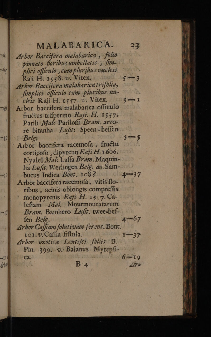 rbor Baccifera malabarica , fohto puniato floribus umbellatis 1/77 plici officulo ,cum pluribus umclezs Raji H. 1558. v. Vitcx. — Arbor Baccifera malabaricatrifolia, fimplici: officulo cut pluribus nu- cleis Raji H. 1557. v. Vitex. Arbor baccifera malabarica officulo fructus trifpermo Rajz. H. 1557. Parili Ma: Pariloffi Bra». arvo- re bitanha Lzufi:: Speen - befíen - Arbor baccifera racemofa , fructu corticofo ; dipyreno &amp;jz H. 1606. Nyalel Ma: Laffa Bram. Maquin- ha Lufit. Werlingen Be/g. ay. Sam- bucus Indica Bont, 108 ? Axtbor baccifera racemofa, vitis flo- ribus , acinis oblongis compreffis $—53 4—37 lefiam Mal, Mourmouratarum Brag.. Bainhero Lufi. twec-bef- fen Belg. Arbor Gaffram folutzoam ferens. Bont. 101.9. Caffia fiftula. Zrbor exotica Lentifes folus B Pin. 399. v. Balanus Myrepfi- B 4 4—57 1—37 mM TI m — — CLERI A c um — p MÀ — LL