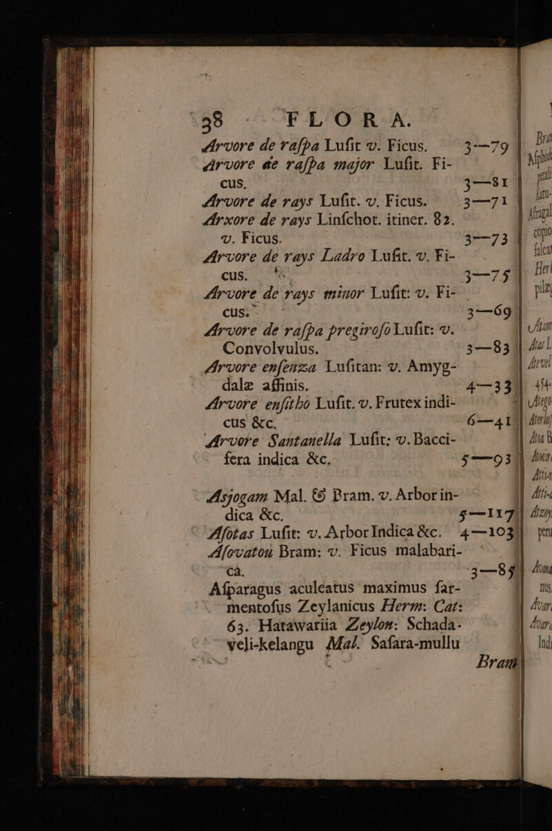 E: *YLOR A. ZIrvore de rafpa Lufit v. Ficus. Jrvore ae rafba major Lufit. Fi- cus, | Aroore de rays Lufit. v. Ficus. rxore de rays Liníchot. itiner. 82. v. Ficus. ZArvore de rays Ladro Yufit. v. Fi- cus. | cus. trvore de rafpa pregmofo Lufit: v. Convolvulus. ZArvore enfenzaa Lufitan: v. Amyg- dale affinis. Zrvore enfitbo Lufit. v. Frutex indi- cus &amp;c. 4rvore Santanella Lufit: v. Bacci- fera indica &amp;c. Zsjogam Mal. (9 Pram. v. Arborin- dica &amp;c. ca. Afparagus aculeatus maximus far- 63. Hatawariia Zeylos: Schada- veli-kelangu. Ma. Safara-mullu Aa | Bri ode ie. ] 3—3 I i | y | Mraga 3—73 | T31C2! -— mud 3—751 P | pue 3—691 | ; i / i Att 4—33]. !* y, qu 6—4A 1| dri) Ata t $—2031 Ar | [iia | Áiti-, $—117) 4) pen 3—85) Aun E. DU dur hour, | Ind