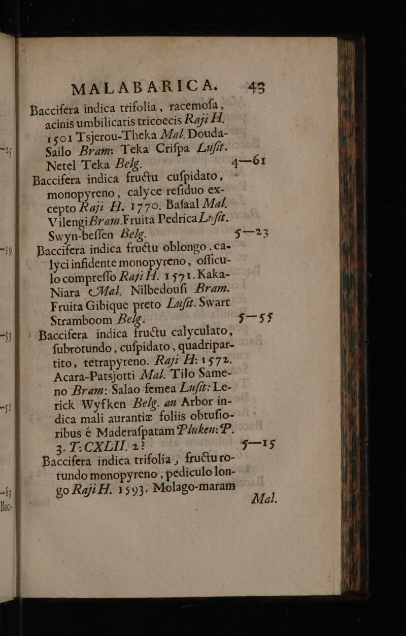 Baccifera indica trifolia , racemofa , acinis umbilicatis tricoecis Ra; H. 1501 Tsjerou-Theka Mal. Douda- e Sallo Bram: Teka Crifpa Lufi. | . Netel Teka Beig. 4—61 Baccifera indica fructu cufpidato, mohopyreno, calyce refiduo ex- cepto Ka; H. 1770. Bafaal Ma V ilengi Bra?z.Fruità Pedrica L//fit. | Swyn-beflen Delg. $—23 -:] —Baccifera indica fructu oblongo ,ca- lyci infidente monopyreno, officu- lo compreffo A7; H. 1 571. Kaka- Niara €/Mal. Nilbedoufi Bram. Fruita Gibique preto Luf£. Swart | Stramboom De. $—5$ -5 1 ^ Baccifera indica fructu calyculato, fübrotundo , cufpidato , quadripar- tito, tetrapyreno. Ray; Hf: 1572. Acara-Patsjotti Mz/. Tilo $ame- | no Bram: Salao femea Lufit: Le- -i E rick Wyfken Be/z. an Arbor in- dica mali aurantiz. foliis obtufio- ribus € Maderafpatam PjIuken:P—. 3. T: CX LIT. 2? $—15 Baccifera indica trifolia , fructu ro- tundo monopyreno , pediculo lon- go Raji H. 1593. Molago-maram Mal.