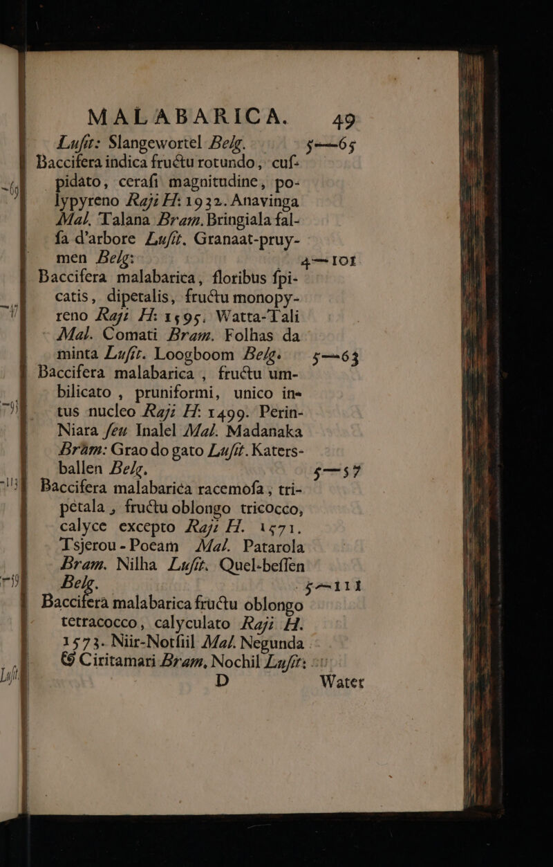 Luft: Slangewortel Bejg. pidáto, cerafi magaitudine, po- lypyreno yz H: 1932. Anavinga Mal. 'Talana Bra. Bringiala fal- fa d'arbore Lu//. Granaat-pruy- Baccifera malabarica, floribus fpi- catis, dipetalis, fructu monopy- reno Az; H: 1495. Watta-'Tali Mal. Comati Bramg. Folhas da minta Lzfr. Loogboom Ze. Baccifera malabarica , fructu um- bilicato , pruniformi, unico ine tus nucleo Ay; H: 1499. Perin- Niara feu Inalel Maz/. Madanaka Bràm: Grao do gato Lu/it. Katers- ballen ez. Baccifera malabarica racemofa ; tri- petala , fructu oblongo tricocco, calyce excepto A7; H. 1271. lsjerou- Pocam | Ma. Patarola Bram. Nilha Luft. Quel-beffen oic qu. $7$y Bacciferà malabarica fructu oblongo tetracocco, calyculato Rzj; H. 1573. Niir-Notfiil 74424. Negunda Watet