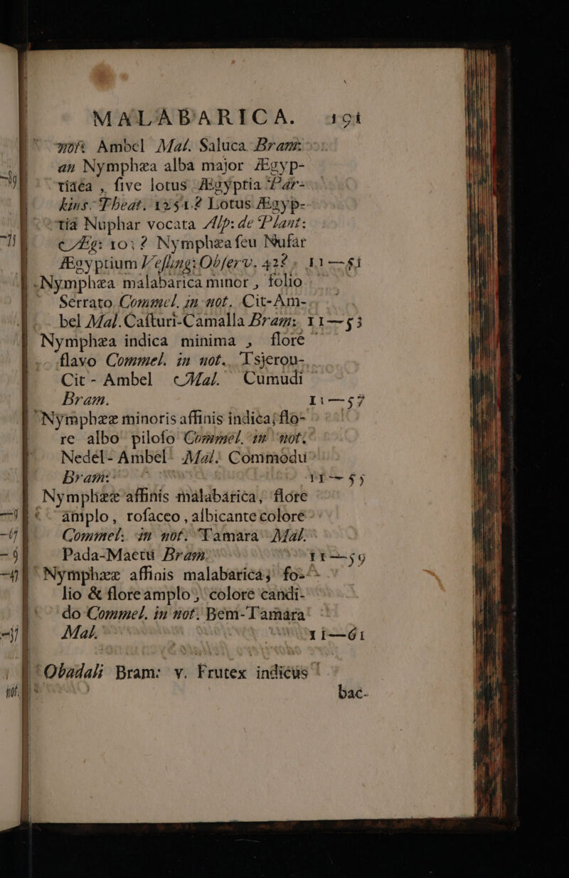 | wo Ambel Maz. Saluca Bram - | a» Nymphea alba major ZEgyp- |' tidéa , five lotus ZEgyptia Par- Jo uns Tbeat. 1251.2 Lotus ZEgyp- | tid Nuphar vocata 74/2: de P^ /anr: UN — eÉg: 10:2? Nymphzafeu Nufar | f&amp;oy prium Zefung: Obferv. 42$ 31—$i | Nympha malabarica minor , folio 'e Serrato. Coma. in: uot. Cit-Am- bel Ma]. Cafturi-Camalla Bram; 11— 55 | Nymphza indica minima , flore |. flavo Commel. zn uot.. lsjerou- | Cit- Ambel «aj Cumudi | Bram. I1—;57 | Nympbzz minorisaffinis indieajflo- ^^^ | re albo pilofo Comme 128 ot. Nedel- Ambel- .Mz/.. Commodu Drami- c7 I-—4j Nymplize affinis malabárica, flore *- amplo, rofaceo , albicante colore -6 Comme. in uf. Tamara Mal. -5] Pada-Maetü Bram Praes -p Nymphzz affiais malabarica; fo:^ lio &amp; flore amplo; colore candi- do Commel. iu uot. Bem- l'amára Mal. Ux r-—Óói: 'Obadali Bram: v. Frutex indieus