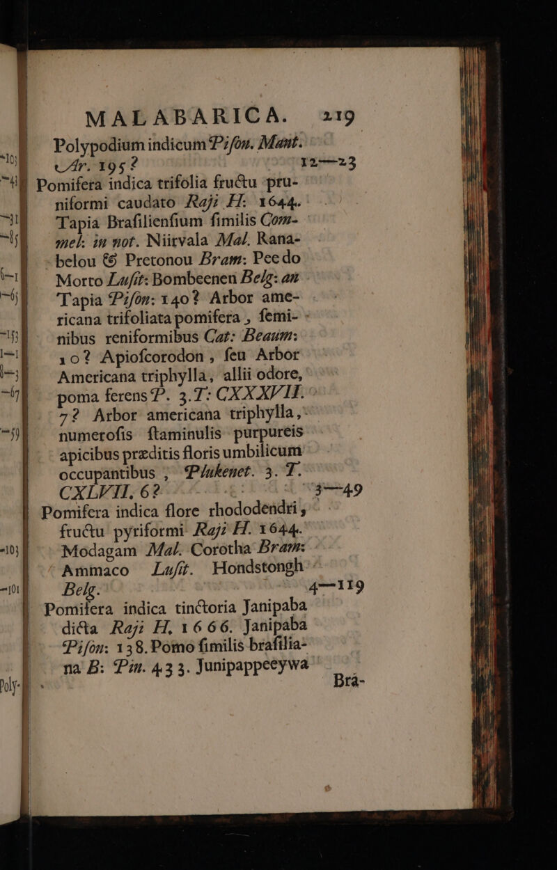 vr. 195? I niformi caudato Aj; HT. 1644. miel in not. Niirvala Ma/. Kana- belou &amp;9 Pretonou Bram: Pee do Morto L4///t: Bombeenen Be/g: az. - Tapia Pzfóm: 340? Arbor ame- ricana trifoliata pomifera , femi- nibus reniformibus Gaz: Beaum: 10? Apiofcorodon , feu Arbor Americana triphylla, allii odore, poma ferens P. 3.7: CXX XVII. 7? Arbor americana triphylla,* numerofis ftaminulis purpureis apicibus praeditis floris umbilicum. occupantibus ; fP/sKemet. 3. T. CXLF1TI. 6? | fructu. pyriformi: Raj; H. 1644. Modagam Mal. Corotha Bram: Ammaco Lafí. MHondstongh. 2—23 dida Rej; H, 16 66. Janipaba Pifou; 138. Pomo fimilis brafilia- na B: Pin. 43 3. Junipappeeywa