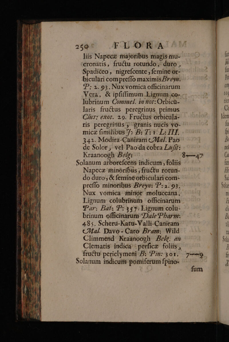 2$9 ' FL OOR'.A lis Napecé fmajoribus magis mu- cronátis, fructu rotundo, duro , biculari compreffo maximis Breys. £P: 2. 93. Nux vomica officinarum Vera, &amp; ipfiffimum.Lignum co- lubrinum Comme. in ?1ot: Orbicü- laris fructus peregrinus primus C/us: exor. 29. Fructus orbicula- ris peregrinüs j' granis nucis vo- micz fimilibus 7: B: 7T: 1. L: IIT. 342. Modira-Catiirám &amp;Ma/. Pao de Solor, vel Paoda cobra Lai: Kraanoogh 56é/z: Solanum arborefcens indicum , foliis Napecz minoribus ; fructu rotun- do duro; &amp; feminéotbiculari com- preffo minoribus Breyr: P: 2:93. Nux vomica fninór moluccana, Lignum colübtitíum | officinarum Par; Bat; P:347: Lignum colu- brinum officinarum Dae Pbargr. 485. Scheru-Katu-Valli-Caniram Cal. Davo- Cato Bram: Wild Climmend Kraanoogh JBBe/g. ax Clematis indica :perficz foliis , Solanum indicum pomiferum fpino- fum LI