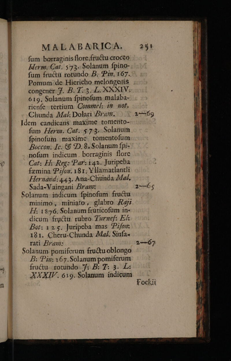 fum barraginis flore;fructu croceo Herm. Cat. 572. Solanum fpino- fum fructaà rotundo. B. Pzz, 167.. Pomum de Hiericho melongegis congener 7. B. 7.3. L. XXXIV, 619. Solanum fpinofum malaba- rienfe - tertium. Commel 72. not, Chunda Ma; Dolari Bra. Idem candicans maxime tomento- fum Zlerm. Cat. $73. Solanum | Ípinofum. | maxime tomentofum | Boccon. Ic. €8 D. 8. Solanum fpi- | nofum indicum . borraginis flore 9 | Cat; Hx Reg: Par: i42. Jutipeba femina P;/ou. 181; Yllamatlantli Hernatid: 443. Ana-Chunda Ma, Sada-Vaingani Ara | Solanum. indicum fpinofum fructu | minimo , miniato, glabro A: | H: 1856. Solanum früticofum in- dicum fructu. rubro Zwrnzef: EL Bot: 125. Jutipeba mas Pz/orr 181. Cheru-Chunda AM. Sinfa- | rati Bram: | | Solanum pomiferum fru&amp;tuoblongo | B: Piu: 167.Solanum pomiferum 4 8 fructu. rotundo. 7: B: 7: 3. L: XXXIV. 619. Solanum indicum —————MM —————- — ff 2—69 2—Ó64 1—67 Fockii