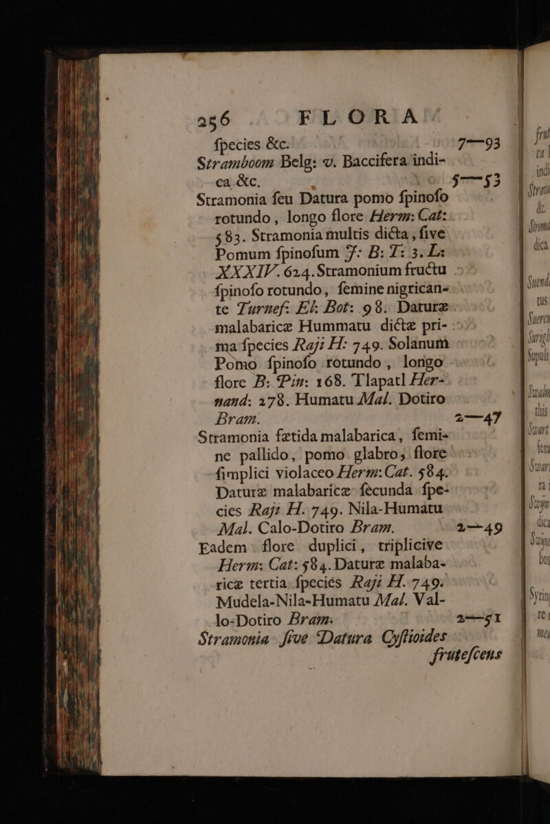 fpecies &amp;c. 7—93 Stramboom Belg: «. Baccifera indi- cac. | |0/$77753 Stramonia feu Datura pomo fpinofo | rotundo, longo flore Herm: Cat: v $83. Stramonia multis dicta , five ns Pomum fpinofum 7: B: 7: 3. Ls g^ XXXIV. 624.Stramonium fructu fpinofo rotundo, femine nigrican- te Turnef: El Bot: 98. Daturz malabarice Hummatu dictz pri- : ma fpecies A77 H: 749. Solanum Pomo fpinofo rotundo , longo flore B: Piu: 168. Tlapatl Zer- and; 179. Humatu 7Ma/. Dotiro Bram. Stramonia fztida malabarica, femi- ne pallido, pomo. glabro; flore fimplici violaceo erzz: Gat. 594. Daturz malabaricz- fecunda | fpe- cies Raj H. 749. Nila-Humatu Mal. Calo-Dotiro Bram. 1—49 Eadem flore duplici, triplicive Herm: Cat: 594. Daturz malaba- ricz tertia. fpeciés zz H. 749. Mudela-Nila-Humatu 4M2/. Val- lo-Dotiro Bram 2——51 Stramonia - five Datura. Gyflioides frutefcens