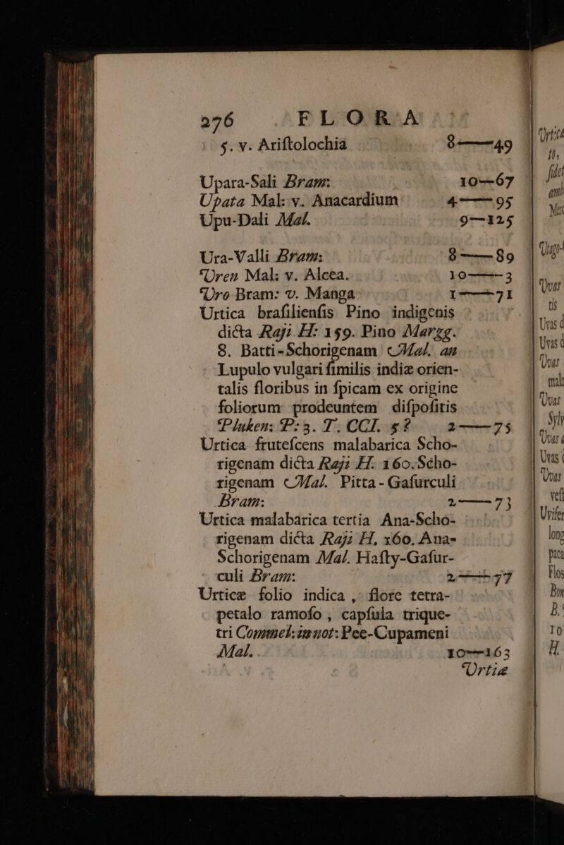 $5. v. Ariftolochia . 6 ——49 Upara-Sali Bram: : | 10—67 Upata Mal v. Anacardium 4 —— 95 Upu-Dali Mz/. 9—125 Ura-Valli Bram: 9 ——89 *Üren Mal: v. Alcea. 10——-3 'Üro Bram: v. Manga I—-7I Urtica brafilienfis. Pino indigenis dicta Rayz H: 159. Pino Marzg. 8. Batti-Schorigenam ca/.. au Lupulo vulgari fimilis indiz orien- talis floribus in fpicam ex origine foliorum: prodeuntem — difpofitis Pluken: ?:3. 7. CCI. 8? 2——75 Urtica frutefcens malabarica Scho- — . rigenam dicta yz H. 160.Scho- rigenam «(74a Pitta- Gafurculi Bram: * Urtica malabarica tertia. Ana-Scho- rigenam dicta Ay; H, x60. Ana- Schorigenam Ma/. Hafty-Gafur- culi ra: ebg Urtice folio indica ,- flore tetra- petalo ramofo , capíuia trique- tri Comitiek: zu30t: Pec-Cupameni | Maj. 10-163 | Ürtie fh fidt ai Mk Quge (I$