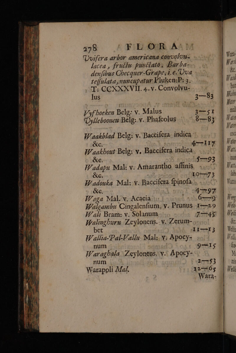 378 FLOR A (Duifera arbor. americana convolou- lacea , fru£iu puntíato, Barba- denfibus Gbecquer-Grape,1.e. Uva teffulata nuncupatur PYuken:P: 5. T: CCXXXVII. 4. v. Convolvu- lus 3—83 Vyfboeken Belg: v. Malus 3—;51 Oylleboonen Belg: v.Phafeolus ' ^ 9—983 Waakblad Belg; v. Baccifera. indica &amp;c. 47117 Waakbout Belg; v. Baccifera indica IV adouka Mal; v. Baccifera fpinofa. ... - «c. al: 47797 I? ;g4 Mal. v. Acacia | 0 6—9 Walgambu Cingalenfium, v. Prunus 1—29 I/al; Bram: v. Solanum 6 S 4X Walingburt, Zeylonens.. v. Zerum- | bet 1I—I3 Wallia-Pal-Vallu Mal. y. Apocy: num . | Waragbala Zeylonens. v.' Apocy-- num . ! -2r71$3 Warapoli Mz. Y2—65 . Wara- 9—15 Wars &amp;c. but Wi Witer mal Wata Water n Witur Wat. Qn Watt Ini Watto Weng liq). lij &amp;c.