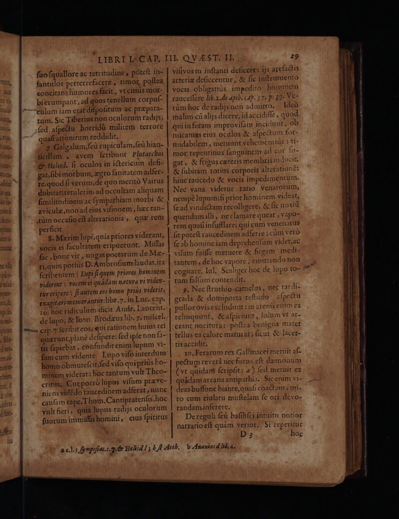 Un. LO pe ? dllld« 'fo Vé« In l5 mi faofquallore ac tetritudine , poteft in- fantulos perterrefacere , timor poftea concitans humoresfacit , vt citius mor- bierumpant, ad quos tenellum corpuf- tum. Sic Tiberius non oculorum radijs; fed. afpectu horridó militem terrore quafi attonitum reddidit. i Galgalum,feu rupiculam,;feü hian- ticillam , avem fcribunt Plutarchus c Heliod.. fi oculos in i&amp;ericum dcfi- gat ibi morbum, egro fanitatem adfer- re.quod fi verum,de quo meritó Vairus dubitarsretulerim ad occultam aliquam fimilitidinem ac fympathiam morbi &amp; aviculz,nonadeius vifionem, hzectan- .tüm occafio eftalterationis ,. qu&amp; rem erficit. 8. Mxrim lupi,quia priores viderant, vocis ei facultatem eripuerunt. Mitfas fac , bone vir, nugaspoetarum de Mz- r,quin potitis D;Ambrofiumlaudas,ita fcribentem Lupi fi quem priores bomintm viderint : vocem ei quádam natura vi viden- tur eripere x fi autem eos bomo prius viderit; exagitari memoranttur:libr.7. in Luc. cap. 10: hoc ridiculum dicit Andr. Laurent. delupo; &amp; Ioan: Brodzus lib. 7. mifcel. quarunt;plane defipete: (cd ipe non fa- tis fapiebat confanditenim lupum vi- füm cum vidente: Eupo vifo interdum homo obmutefcit;fed vifo quipritis ho- minem viderat: hoc tantum vult Theo- critus; Curporró lupus vifum prave- niens vidédo raucedinem adferat; nunc caufam cape. Thom. Cantipratenfis,hoc vult fieri, quia lupus radijs oculorum füorüm immiffishomini, cius fpititus vilivosin inftanti deficcet: ijs atefactis arteriz deficcentur, &amp; fic inftramento vocis. obligatiüs impedito hominem raucellere lib.2.de apib, cap. 5 7. p- 89 Ve- rüm hoc deradijsnon admitto. . Ideó malim cà alijs dicere; id accidiffe , quod quiin fetam improvifam incidunt, ob micantes cius oculos &amp; afpectum for- tnidabilem , metuunt vehementiis : ti- mor tepentinus fanguinem ad cor fu- gat, &amp; frigus cxteris membris inducit, &amp; fubitam totius corporis altetationé: hincraucedo &amp; vocis impedimentum. Nec.vana videtur ratio venatorum, nempe lupumsfi prior hominem videat, fe ad vindi&amp;tam recolligere; &amp; fic noxiü quendam lli , ne clamare queat ; vapo- rem quafi infufflare; qui cum venenatus fit poteft raucedinem adferre ; cüm vero (e ab homineiam deprehenfu m videt;ac vifum fuiffe metuere &amp; fugam medi- tantem , de hoc vapore, emittendo non cogitare. Iul. Scaliger hoc de lupo to- tum falfíam contendit. 9. Nec ftruthio-camcelus, nec tardi- grada &amp; domiporta teftudo | afpectu pullos ovisexcludunt:in arenis en!m ea relinquunt, &amp;afpiciupt, (olum vt ar- ceant nocitura: - poltea benigna mater tellus ea calore matuiat; ficut. &amp; lacer- tis accidit. 15. Ferarum rex Gallinacei metuit af- pectum revera nec fucus eft da mooum ( vt quidam fcripfit: 4) fed metuit ex quádam arcana antipathiz. Sic enim vi- deasbuffone hiante,quafi coactam ; mi- ro cum eiulatu muftelam fe ori. devo- randaminferere. Dereguli fe bafilifci intuitu notior narratio eft quàm verior, Si reperitur D j hoc gm pec e RS PEINE c 1eiemc JE pne REDRDU a cam R CNN OSRCS a ens TS NNIS aa ai s SHINE Sa. ida eaa PS ido quse SN didi